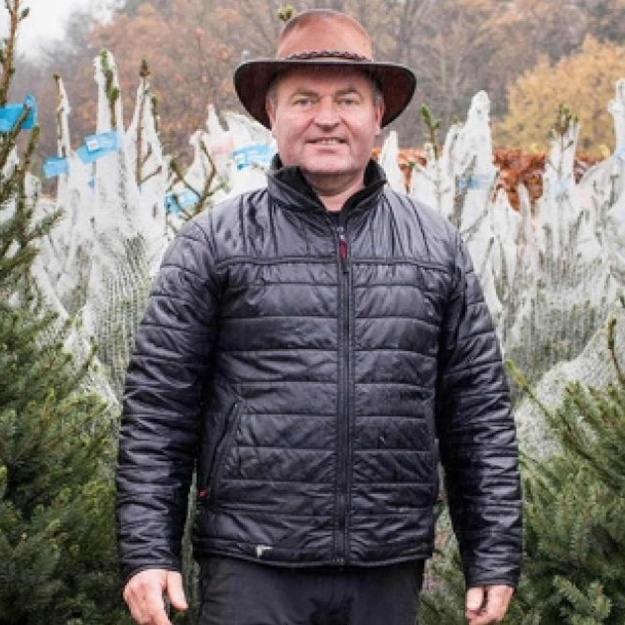 zo ziet de business van nederlands grootste kerstbomenexporteur 100 duizend bomen eruit