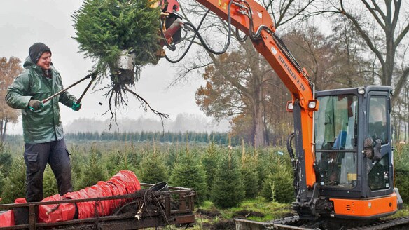 beeld deondernemer