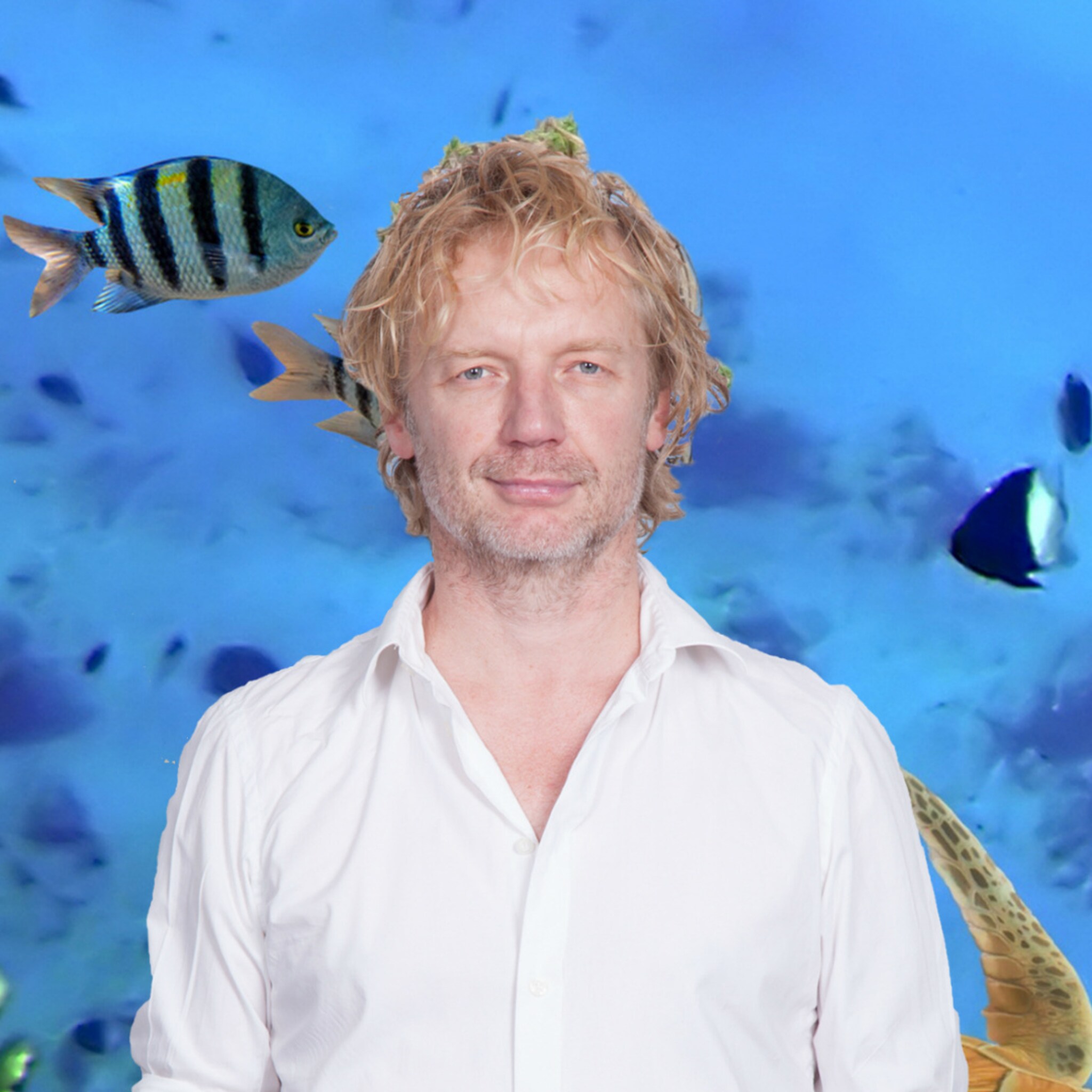successtory fish tales van eigen vishandel tot compleet visimperium