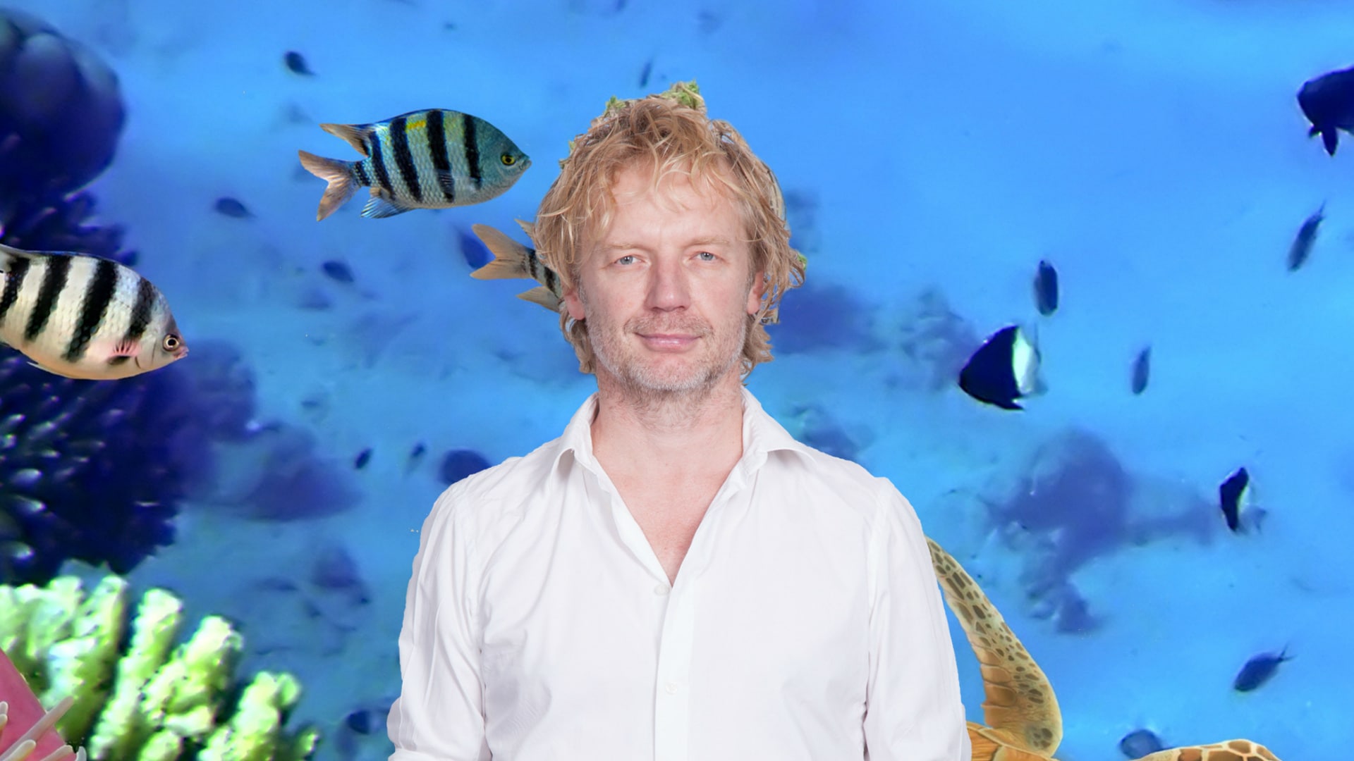 beeld deondernemer