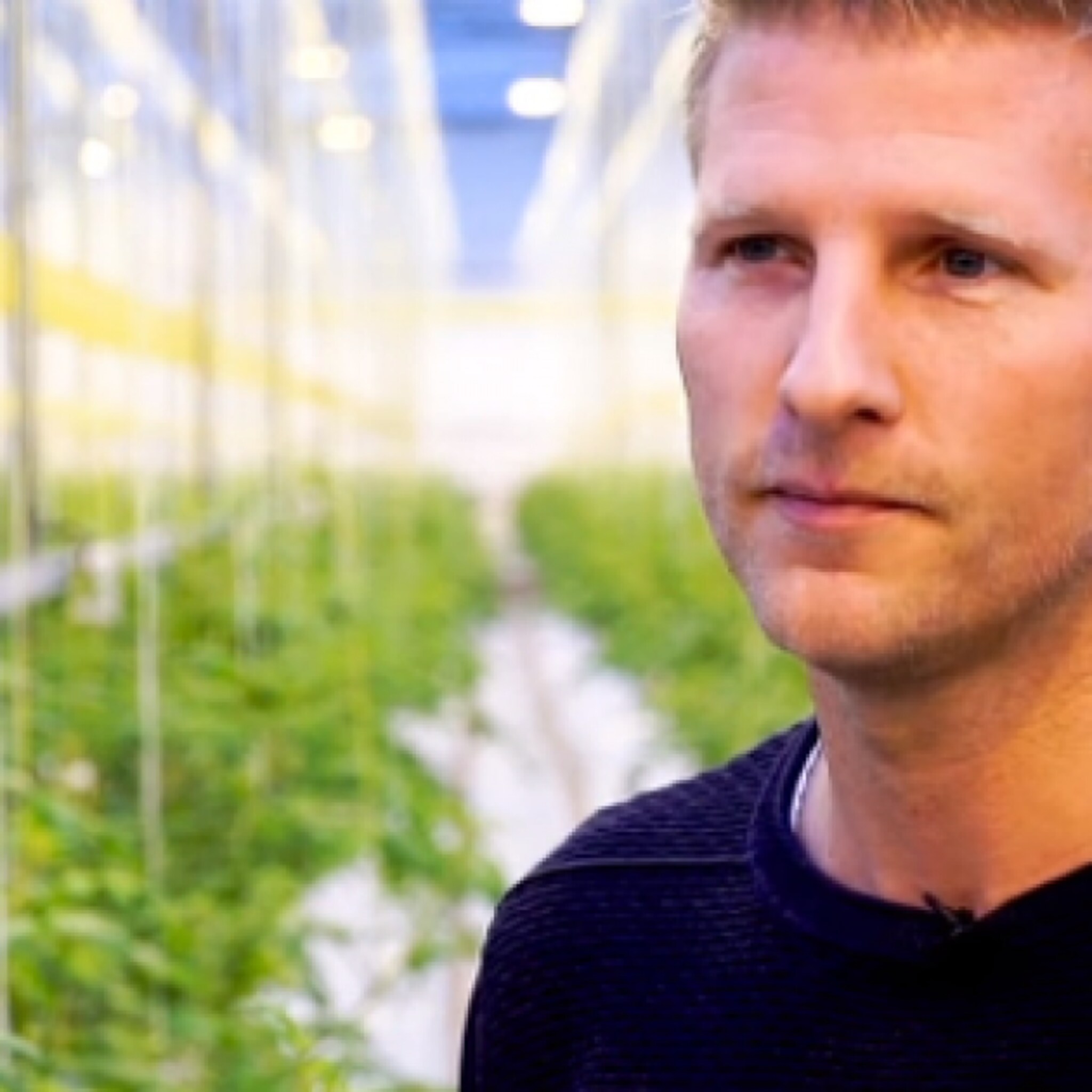 westlandse telers in nieuwsvideo s al jazeera en pbs newshour