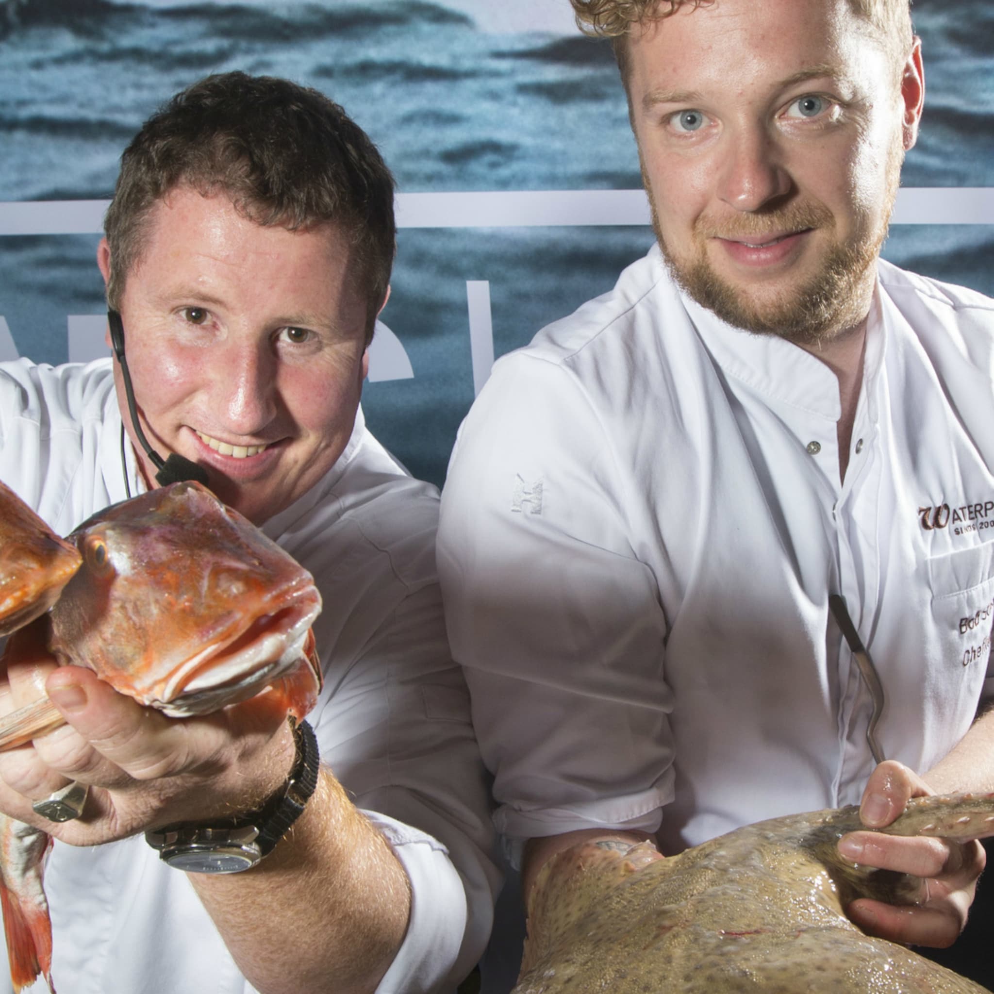 600 ton extra vis levert visserij schevingen omzet van 34 miljoen euro op