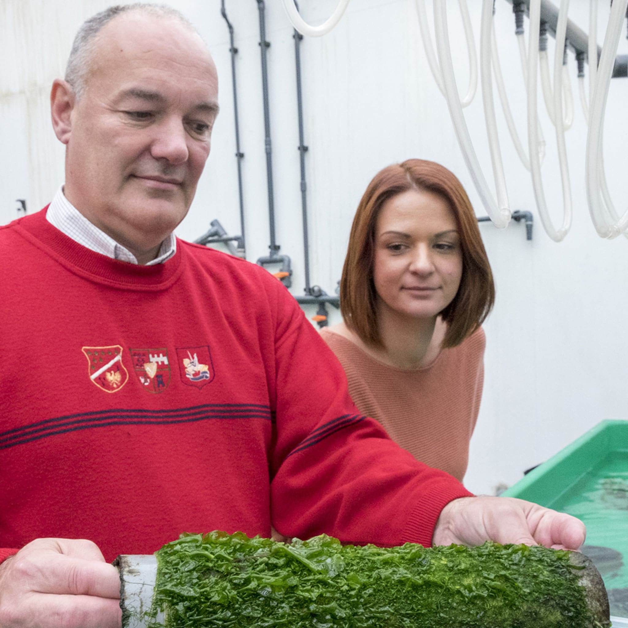 deze kamperlandse zeewierboer verdrievoudigt productie door innovatieve groeimethode