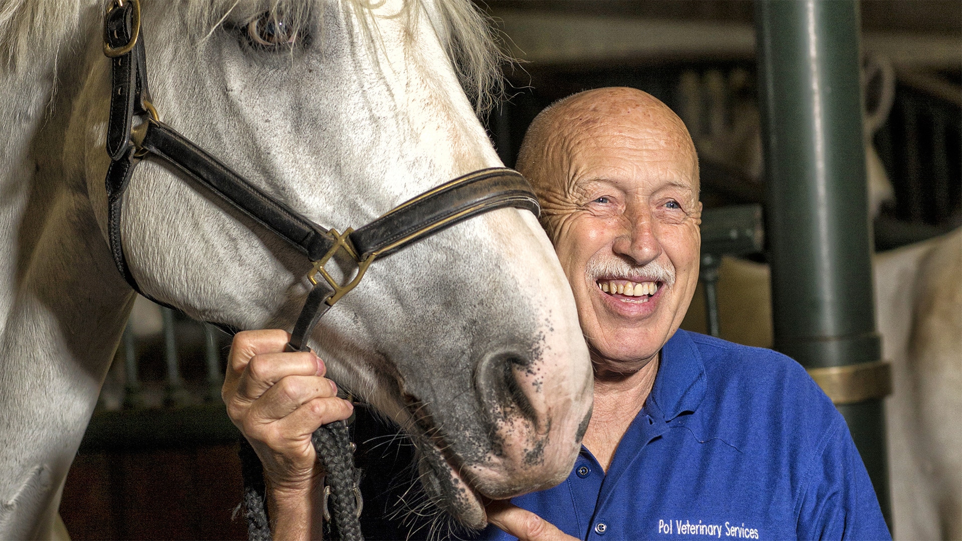 beeld deondernemer