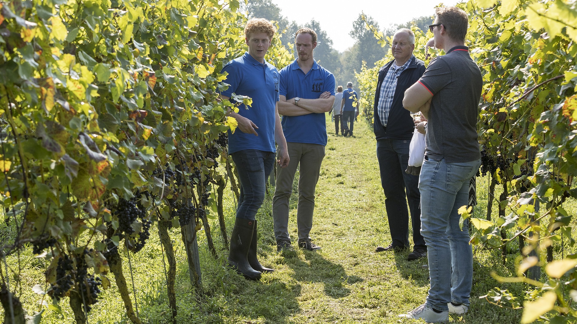beeld deondernemer