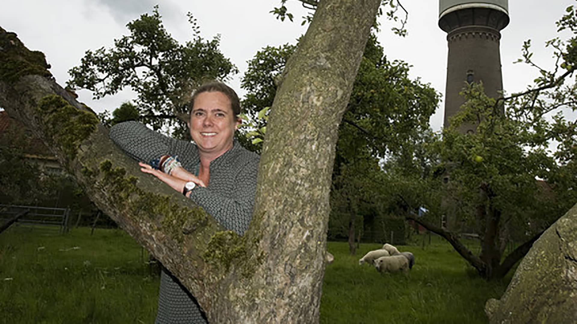 beeld deondernemer
