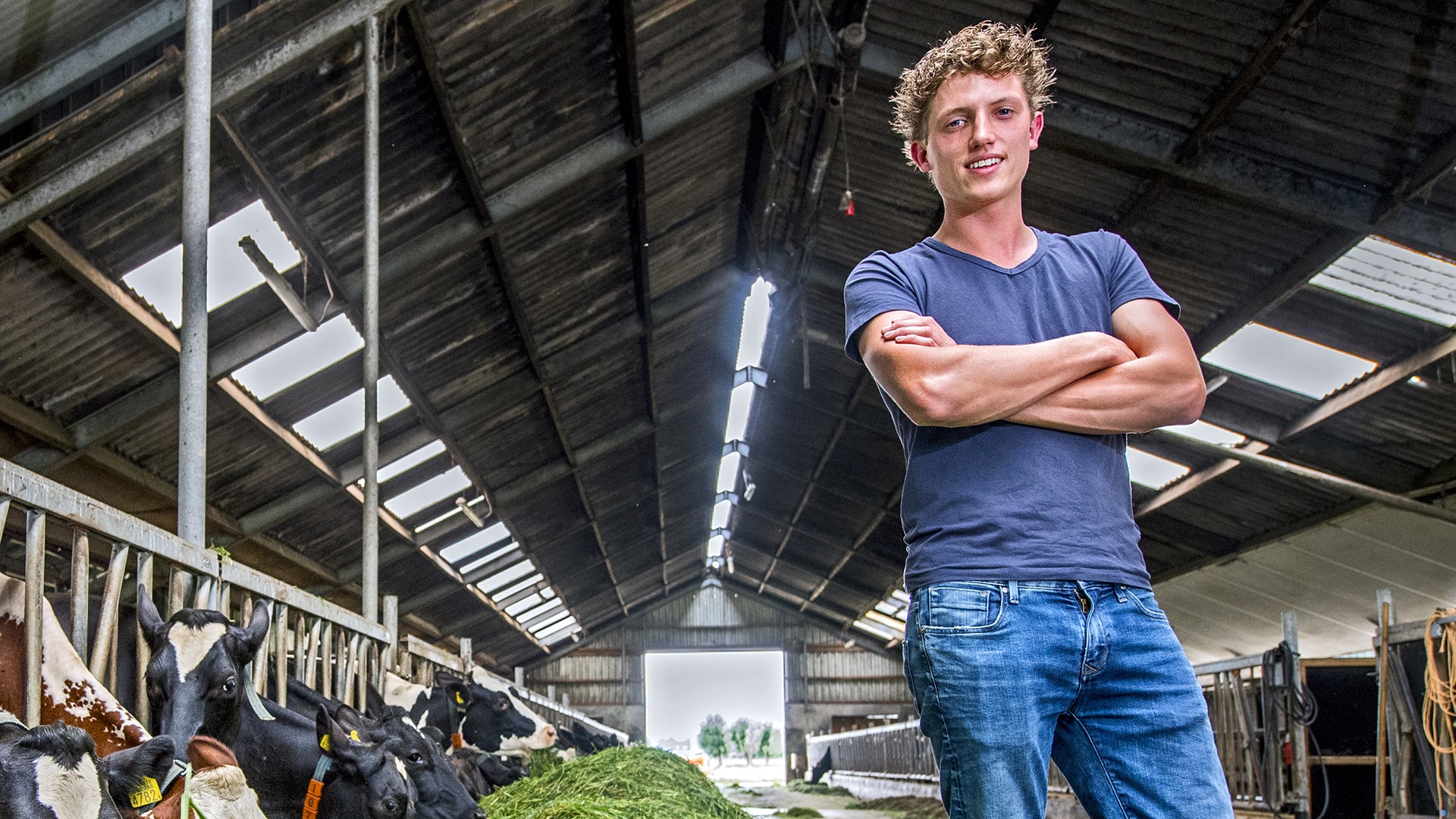 beeld deondernemer