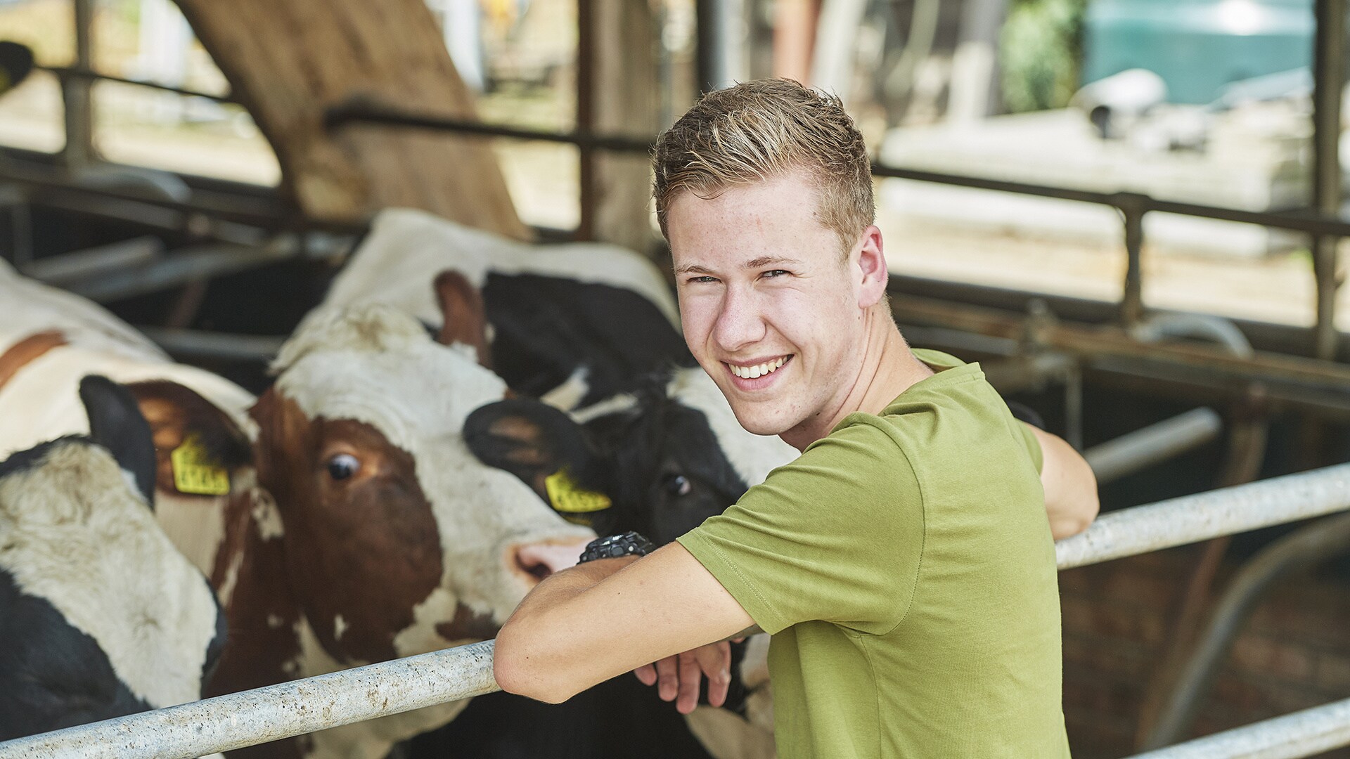 beeld deondernemer