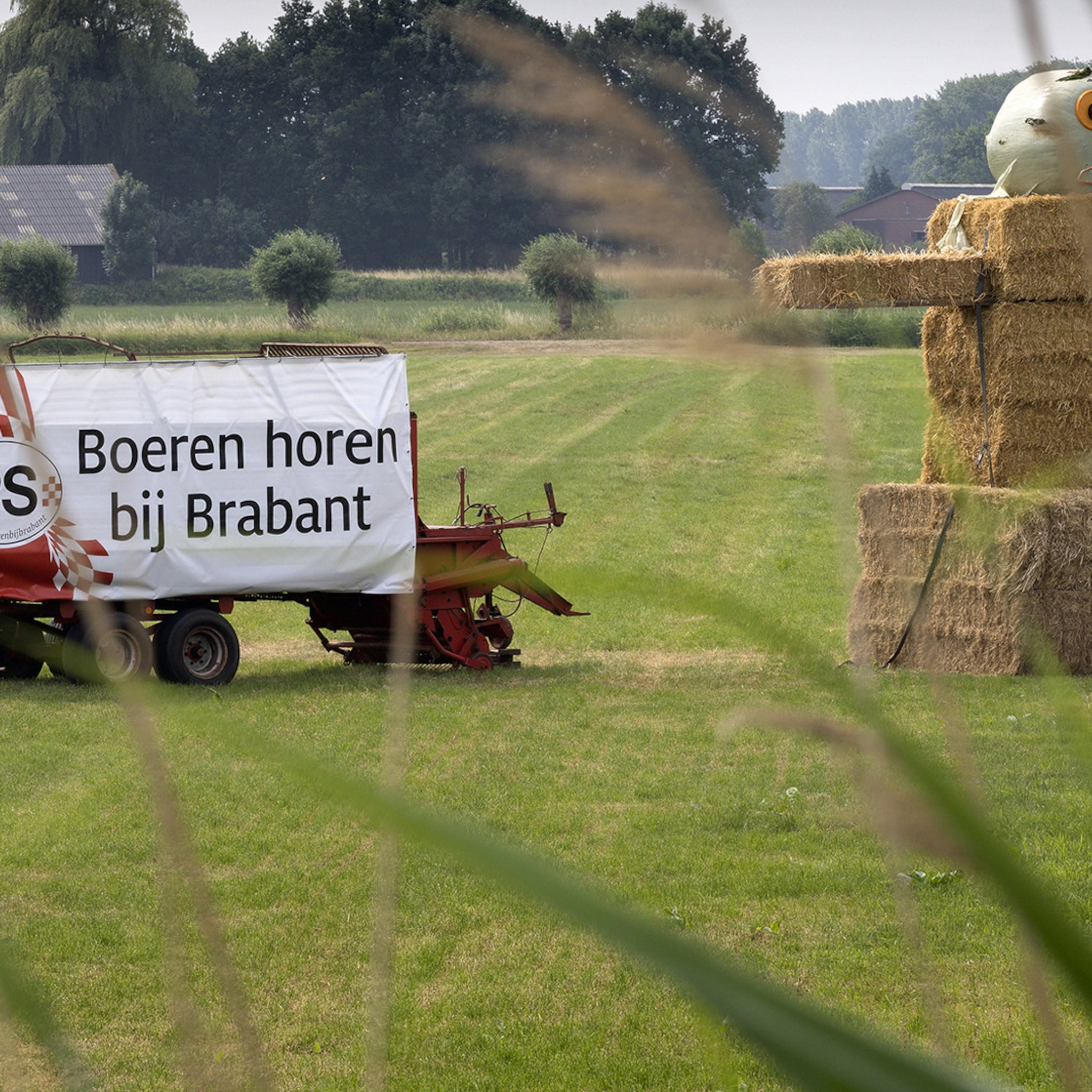 boeren stappen naar de rechter