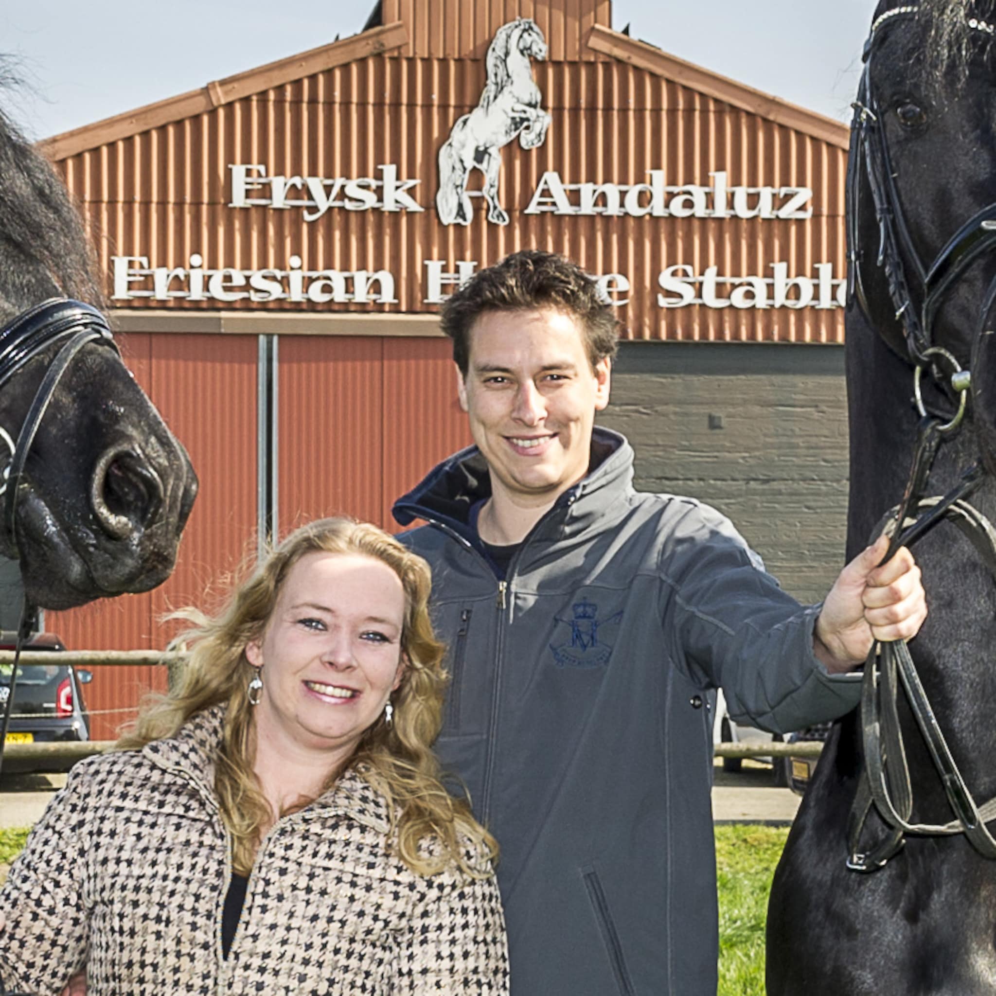 friesian horse stables gaat op zoek naar de klik tussen koper en paard