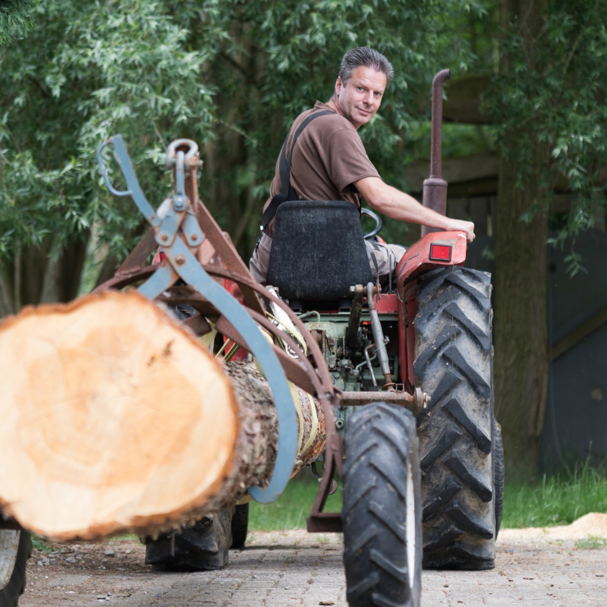 deze ondernemer maakt grafkisten van boom uit je eigen tuin