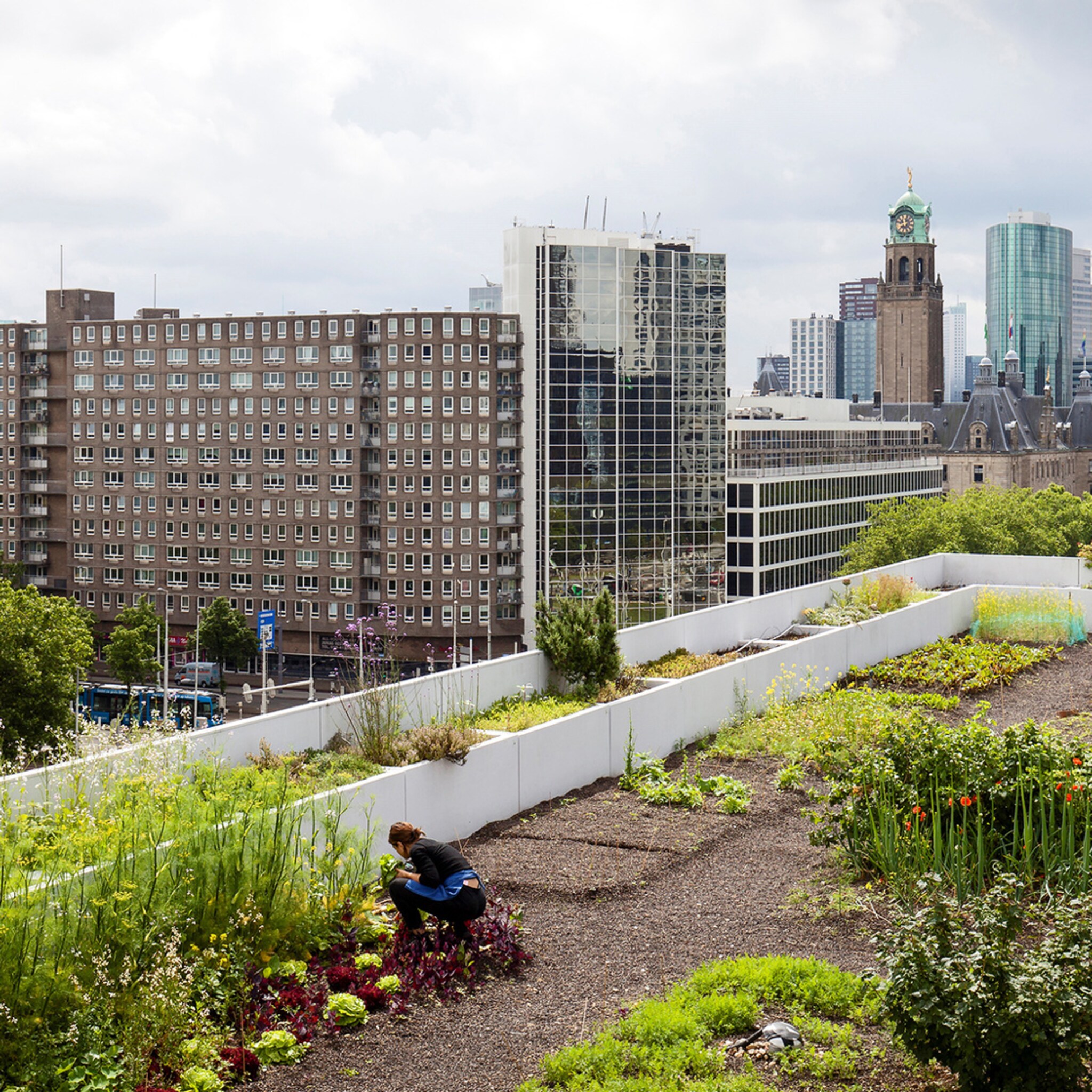nationaal groenfonds bijna te succesvol