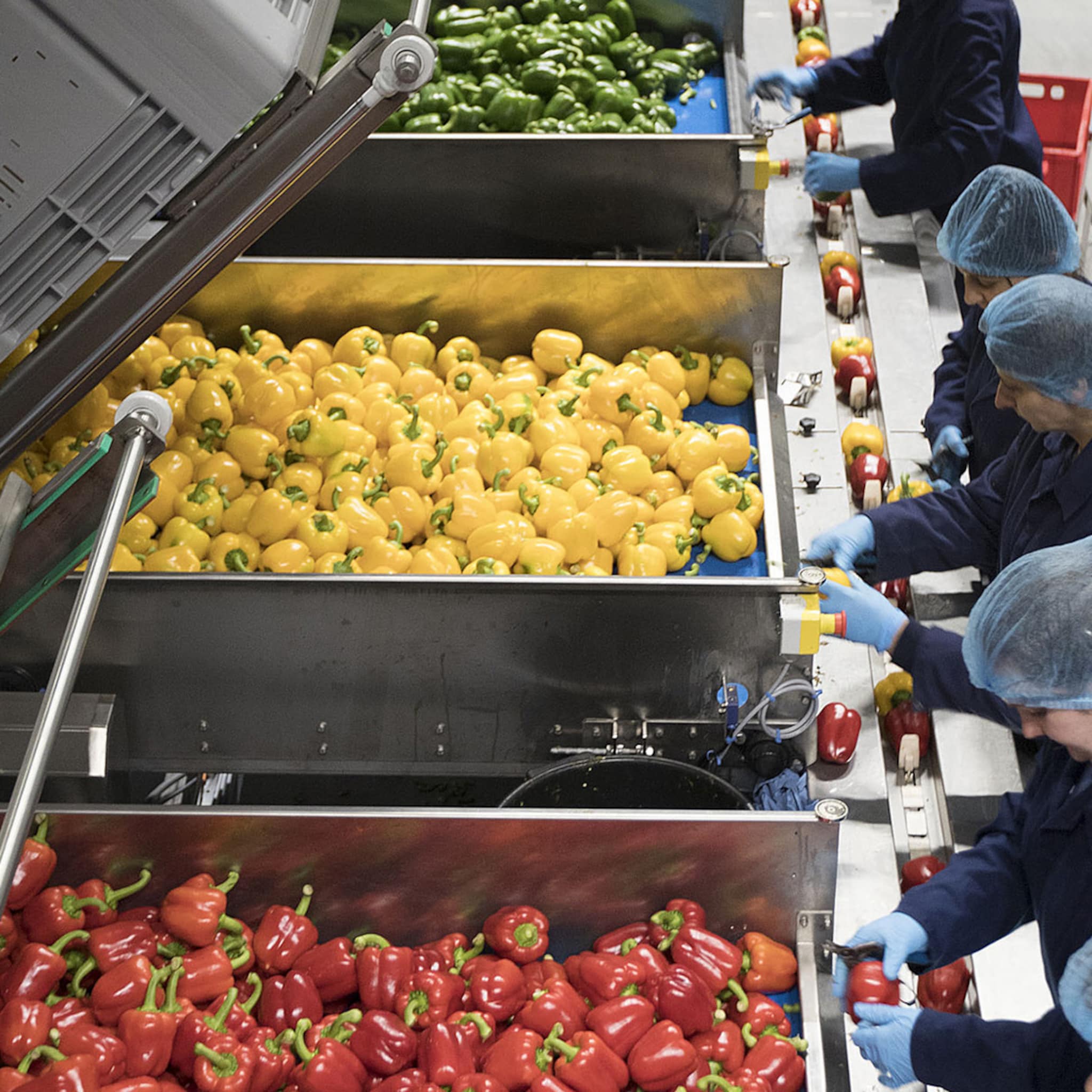 paprika s voor alle keukens van europa