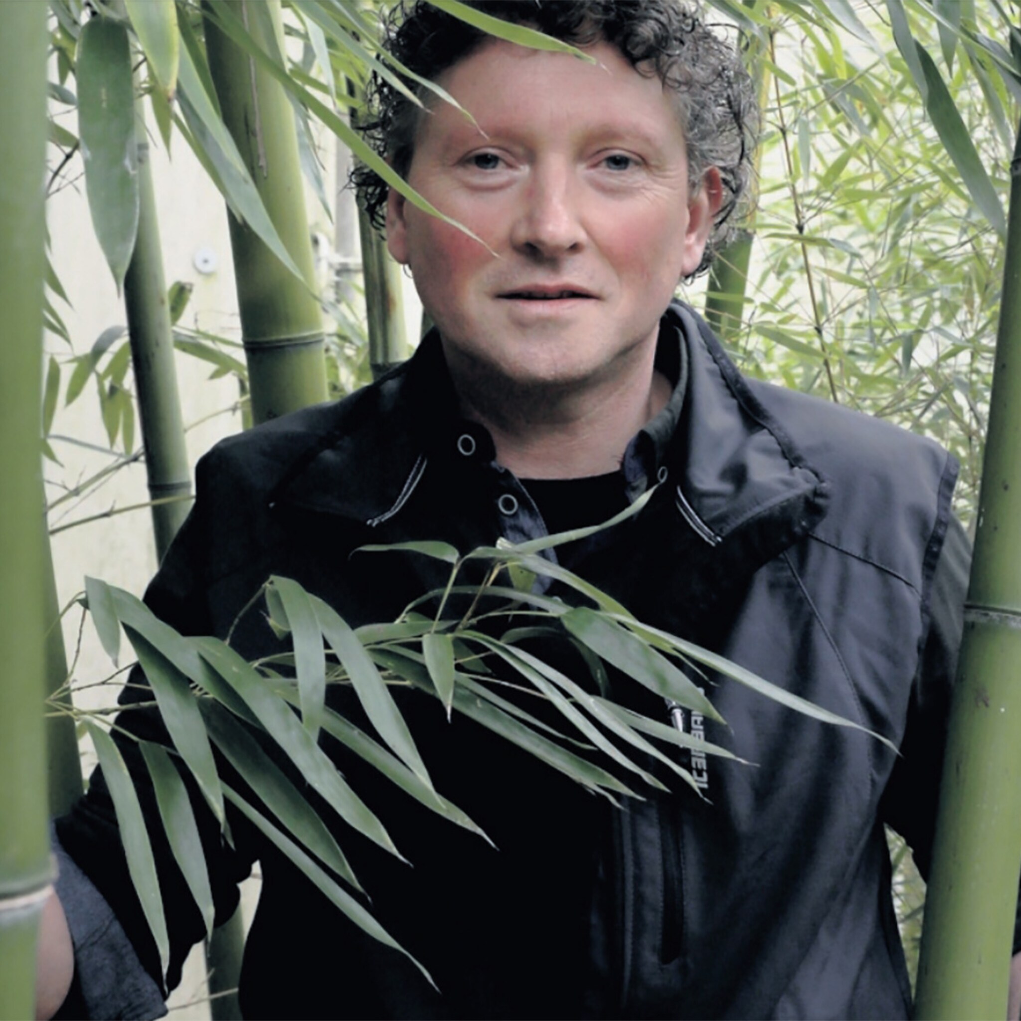 deze brabantse kweker levert het krachtvoer voor de panda s in ouwehands dierenpark