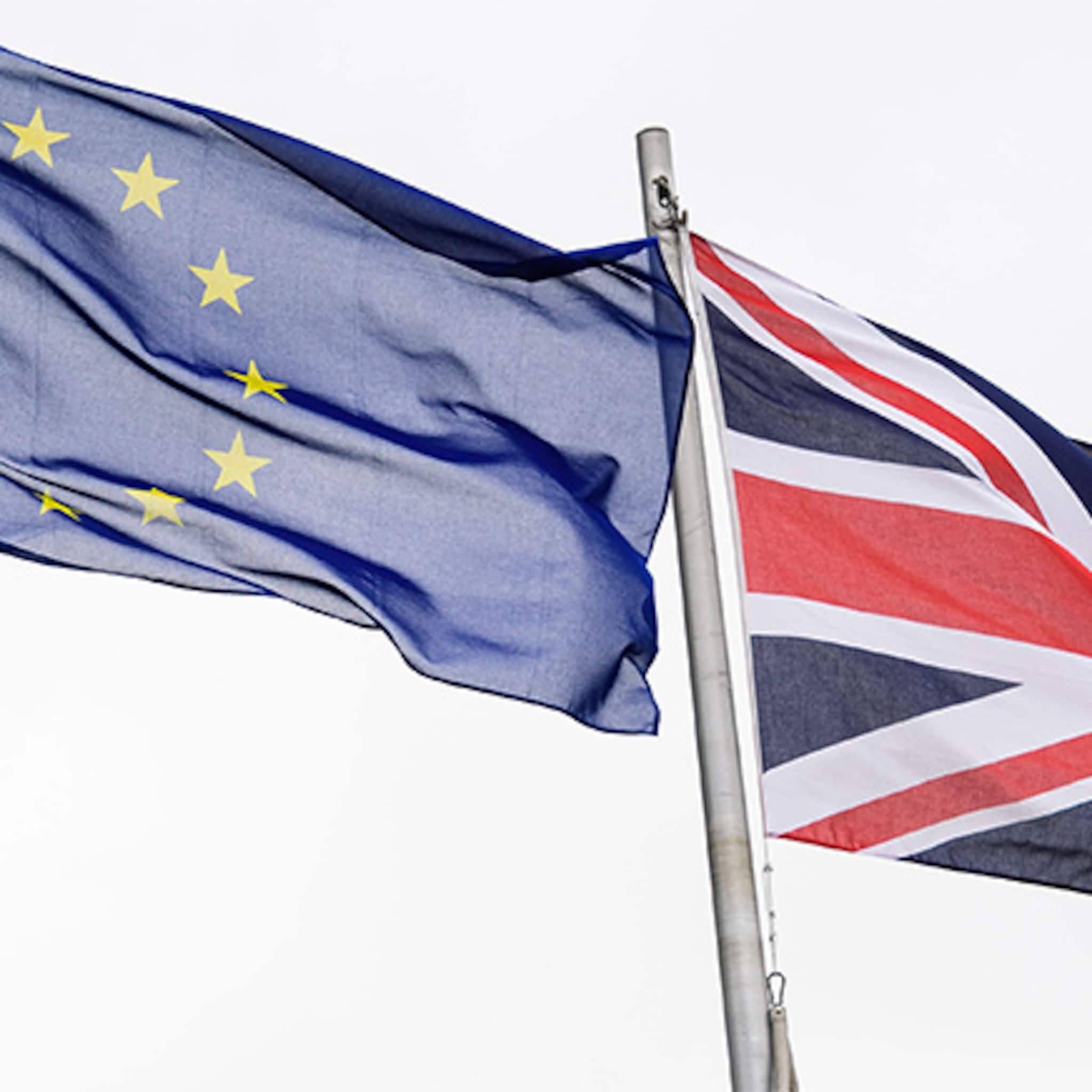 conservatief brits parlementslid wil zo snel mogelijk uit de eu