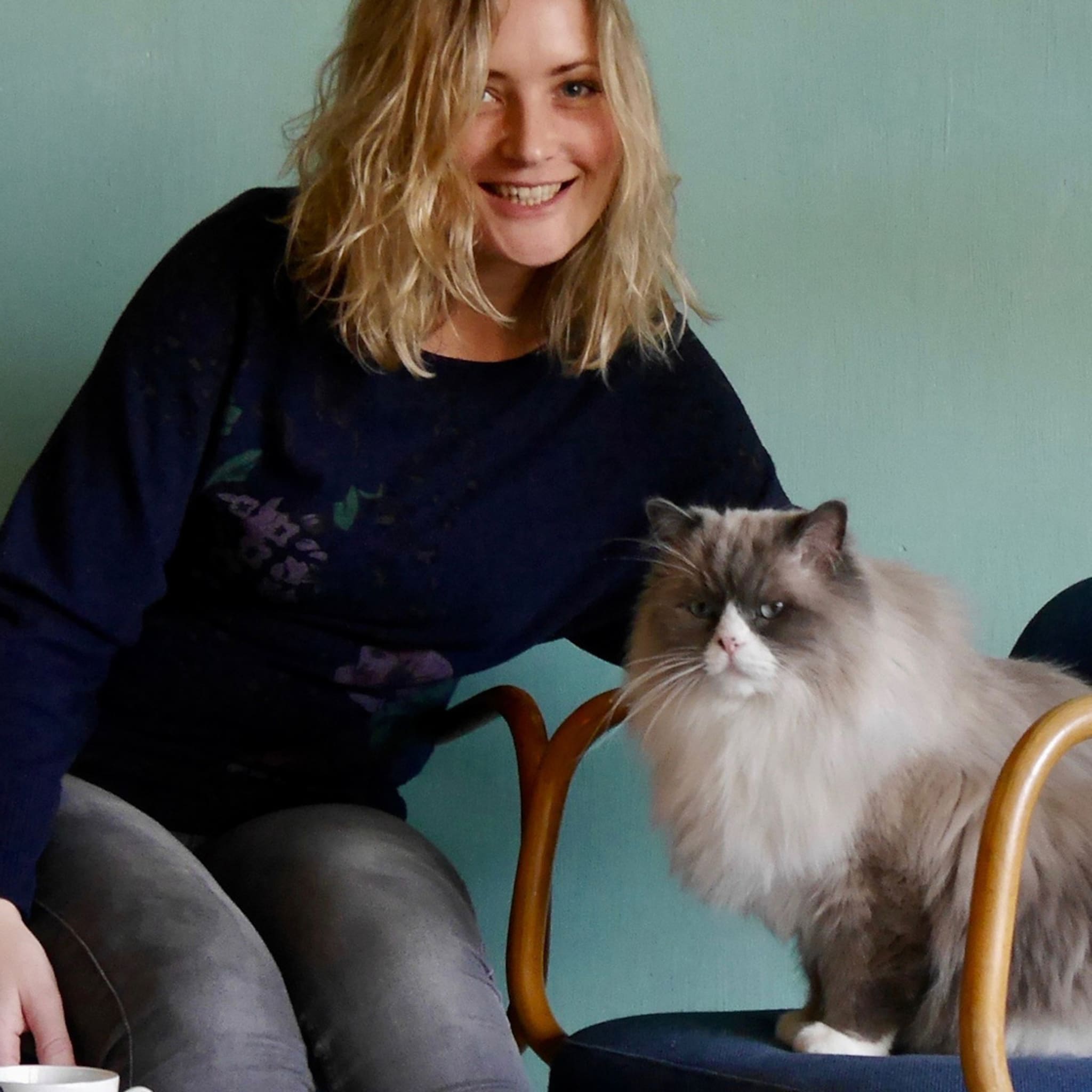 kattencafe nijmegen gaat er definitief komen