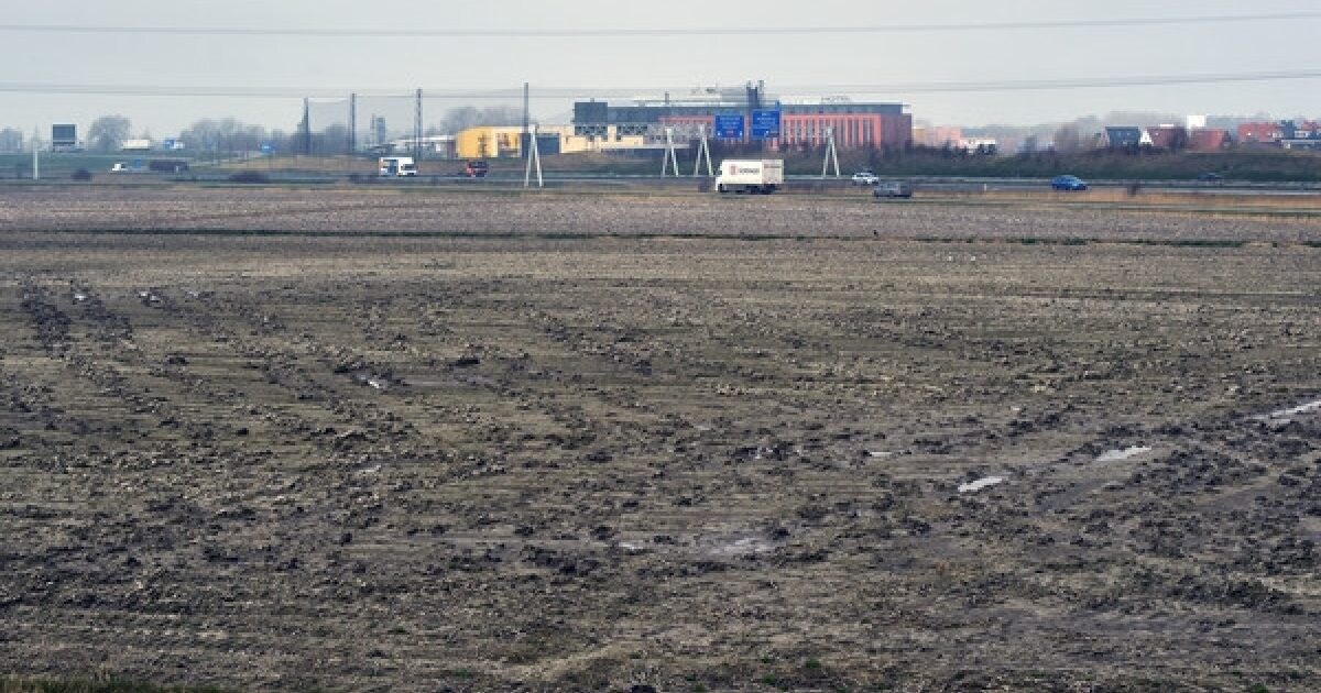 beeld deondernemer