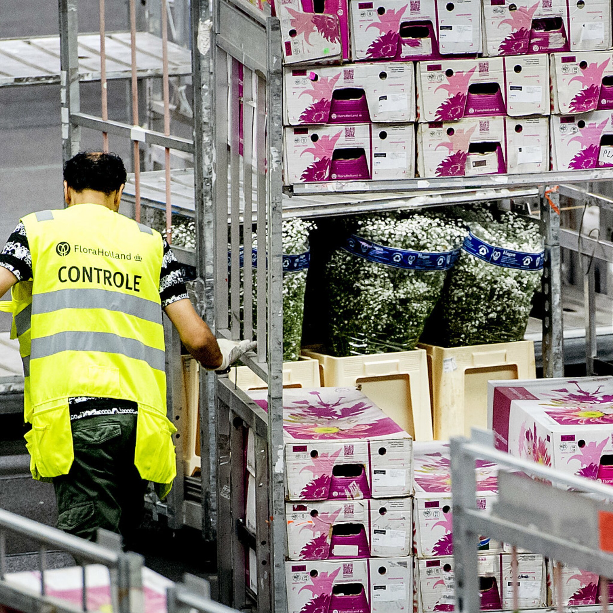 zo kan turkije het nederlandse bedrijven lastig maken