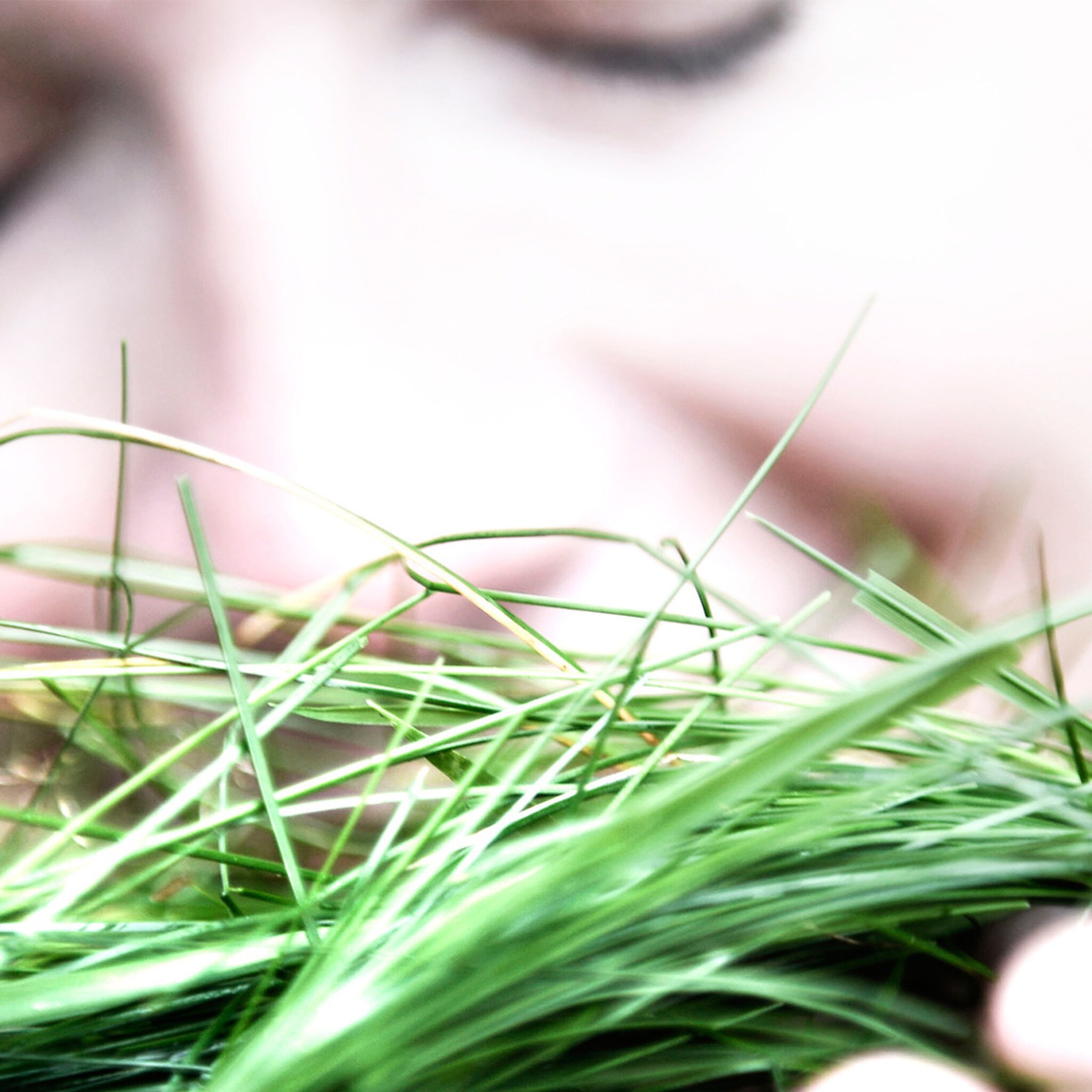 zintuigenmarketing zet geur kleur en smaak in om je business te boosten