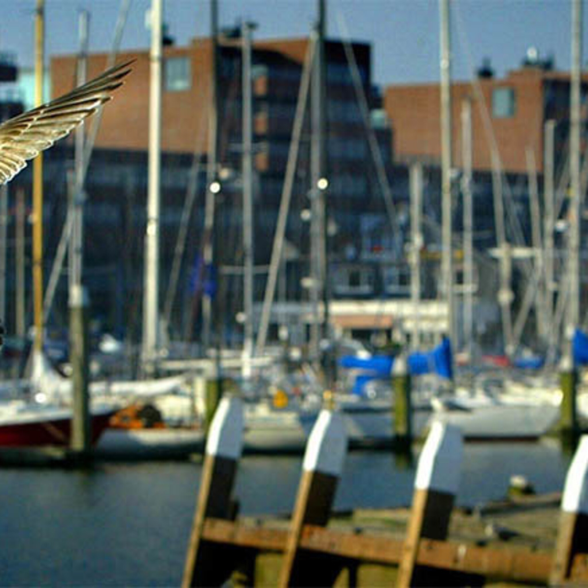 scheveningen haven krijgt skybar en hotel