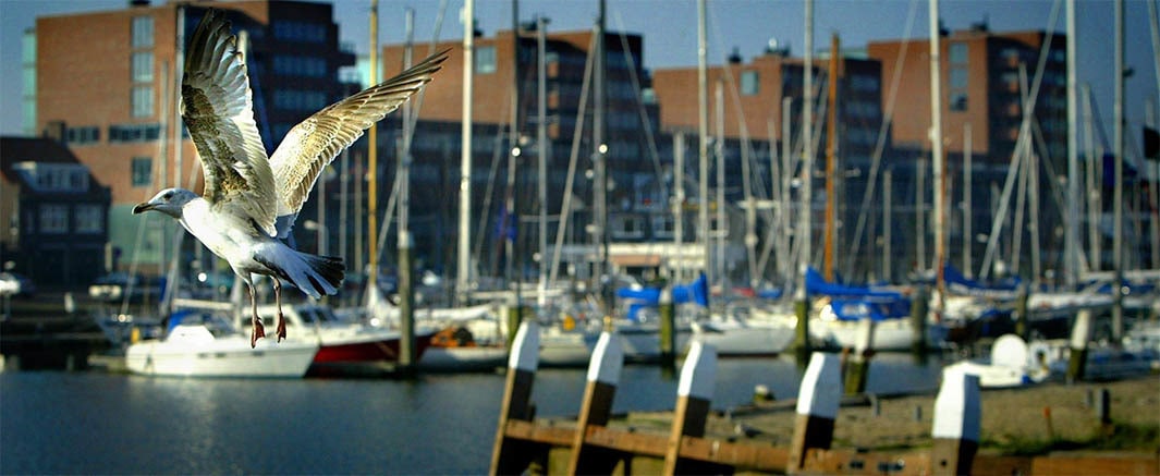 beeld deondernemer