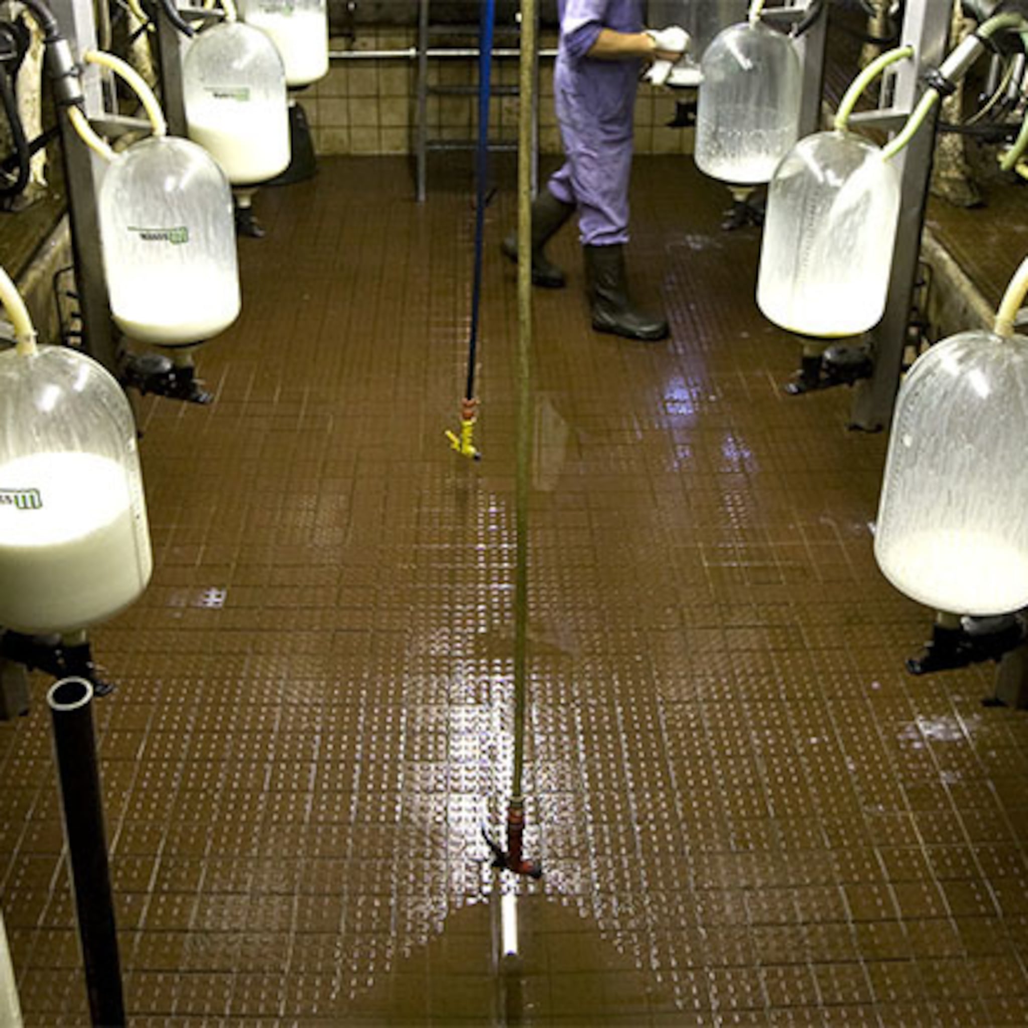 mkb grote leverancier voor exportgoederen