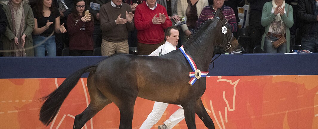 beeld deondernemer