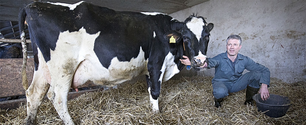 beeld deondernemer