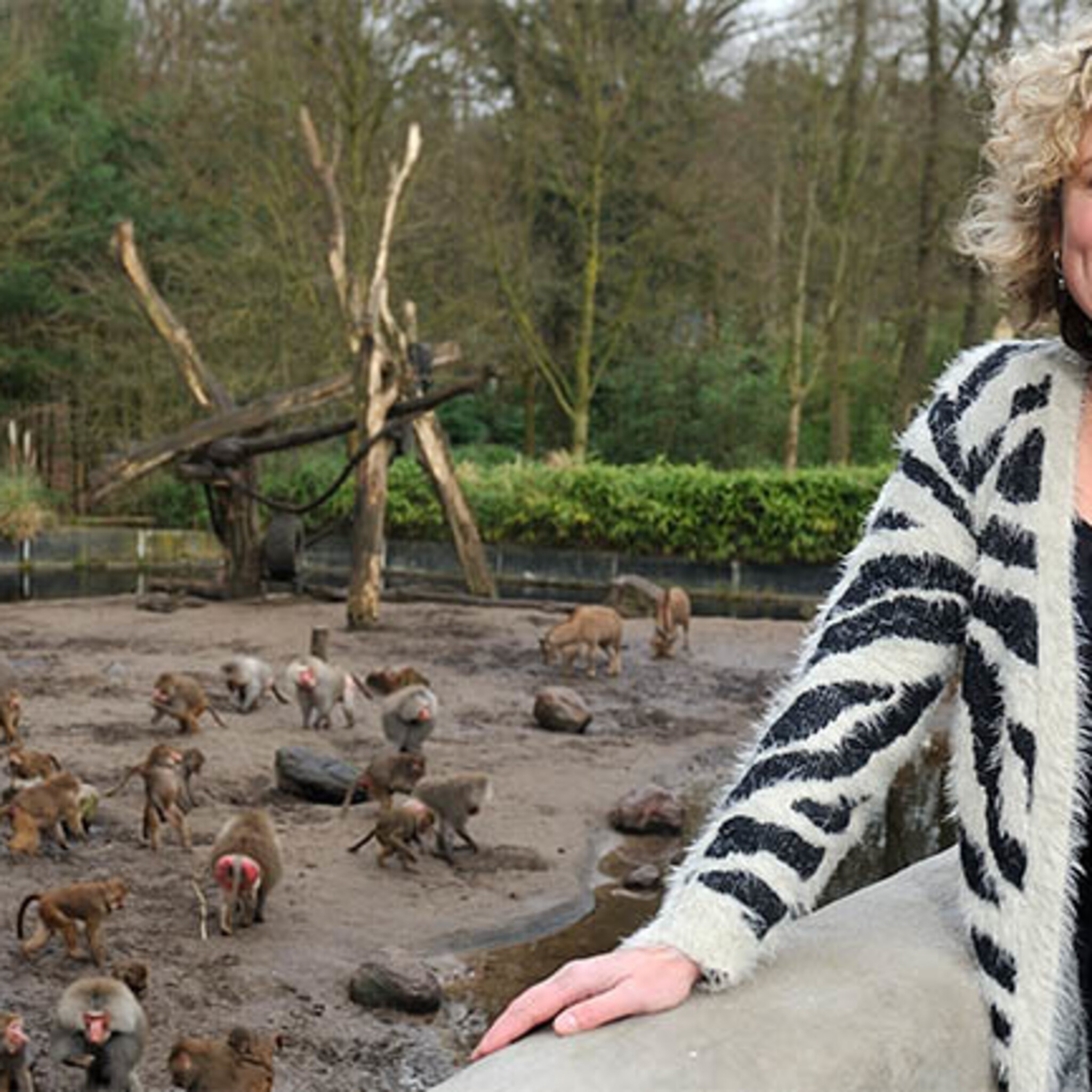 het geheime wapen van dierenpark amersfoort