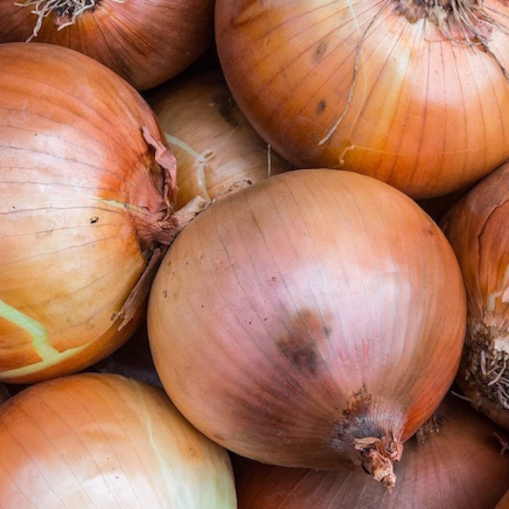 uientelers kunnen rekenen op steun reimerswaal
