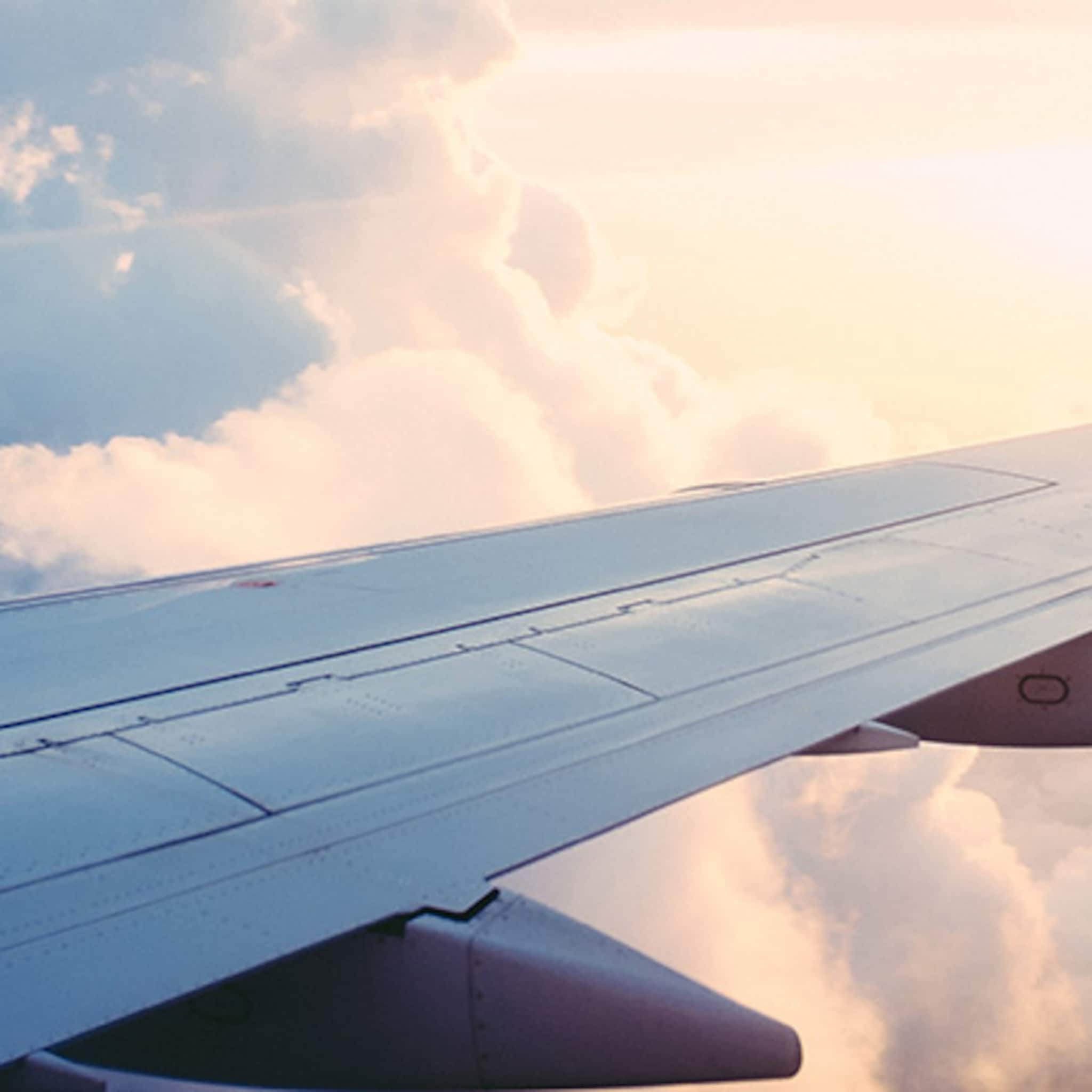 paperflies laat reiziger goedkoop vliegticket vastzetten