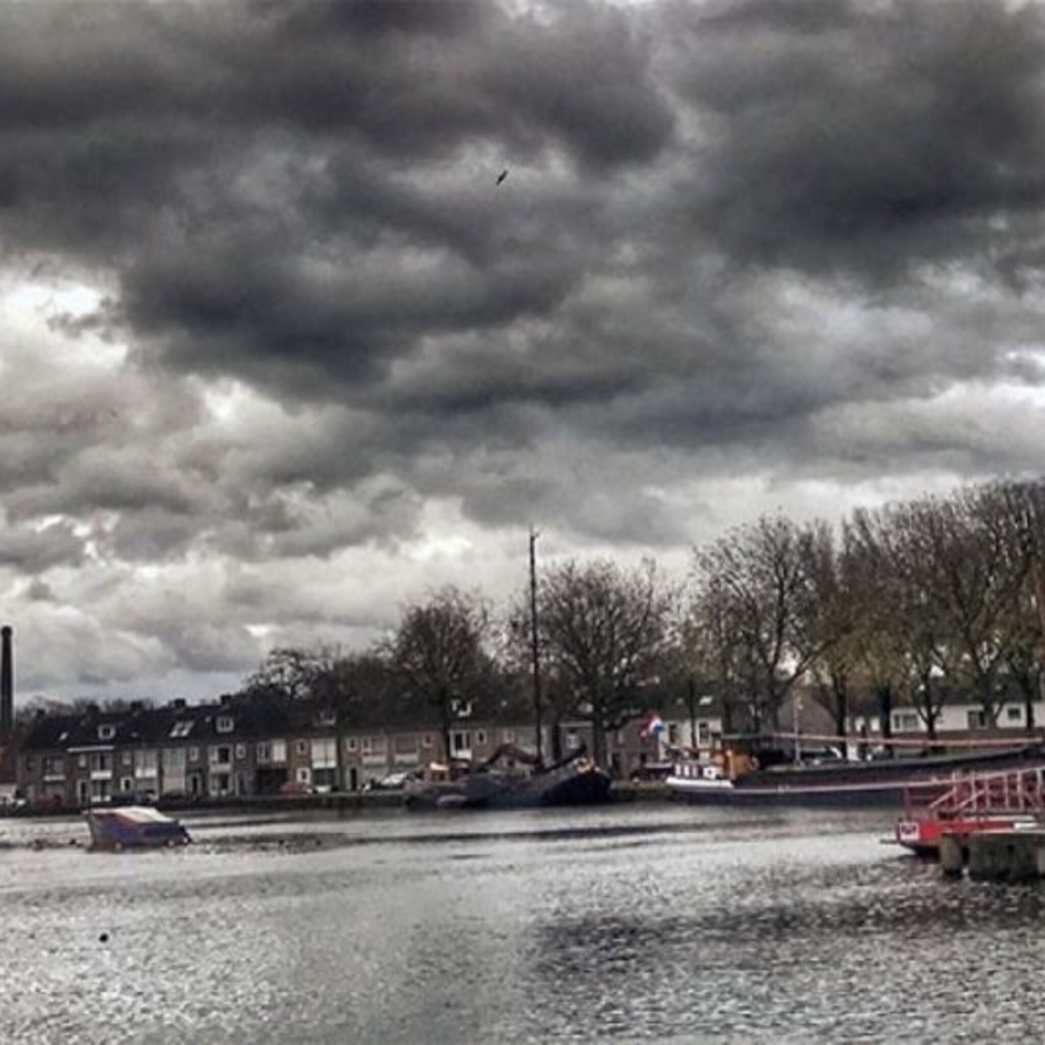 piushaven lacht in de zomer huilt in de winter