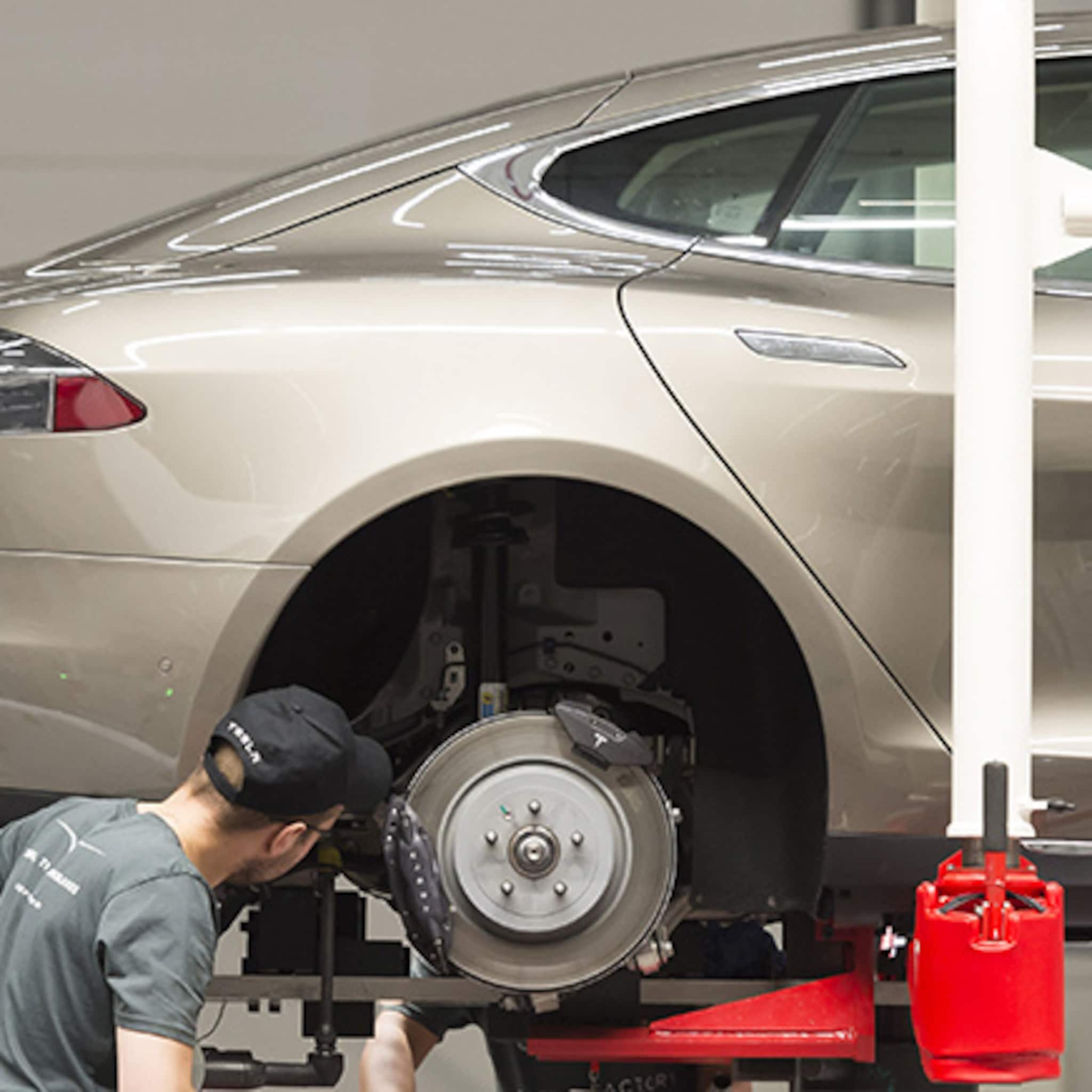 ook land van cuijk wil tesla fabriek