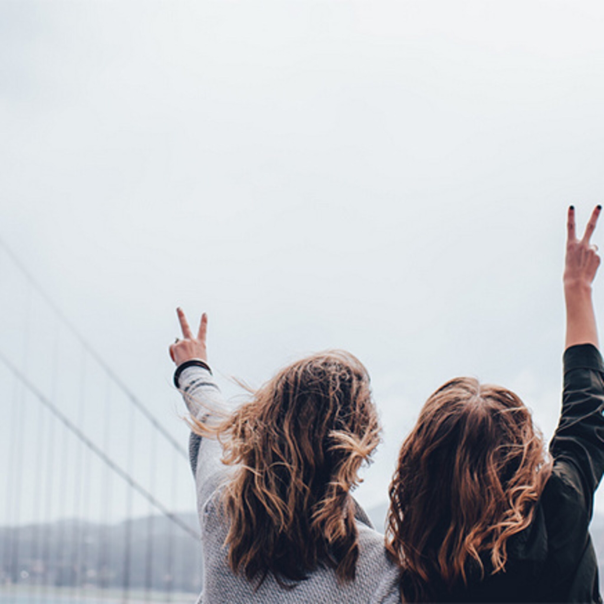 shake brug tussen bedrijven en jong talent