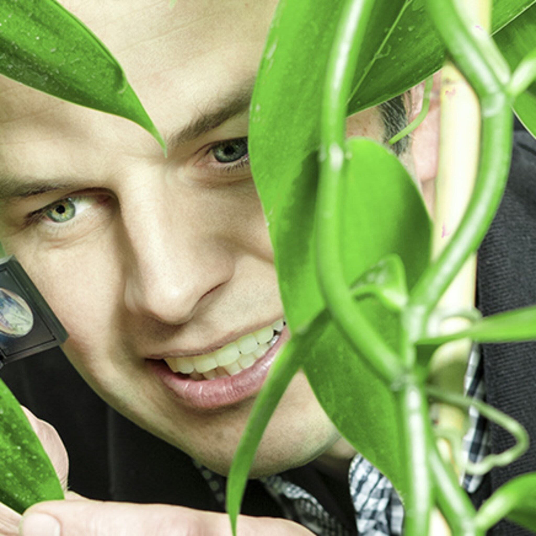 joris elstgeest kweekt nedervanille in een proeftuin