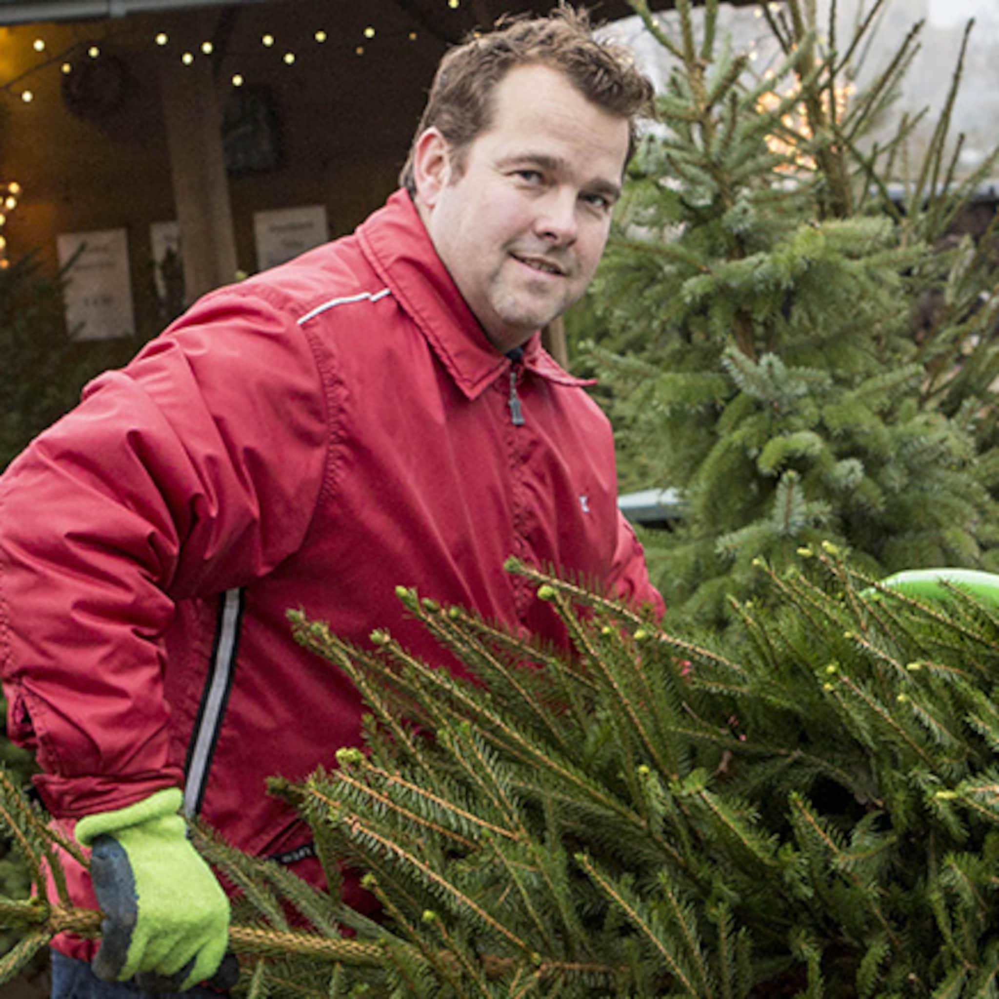 zoon van overleden kerstboomverkoper zet kersttraditie voort in oldenzaal
