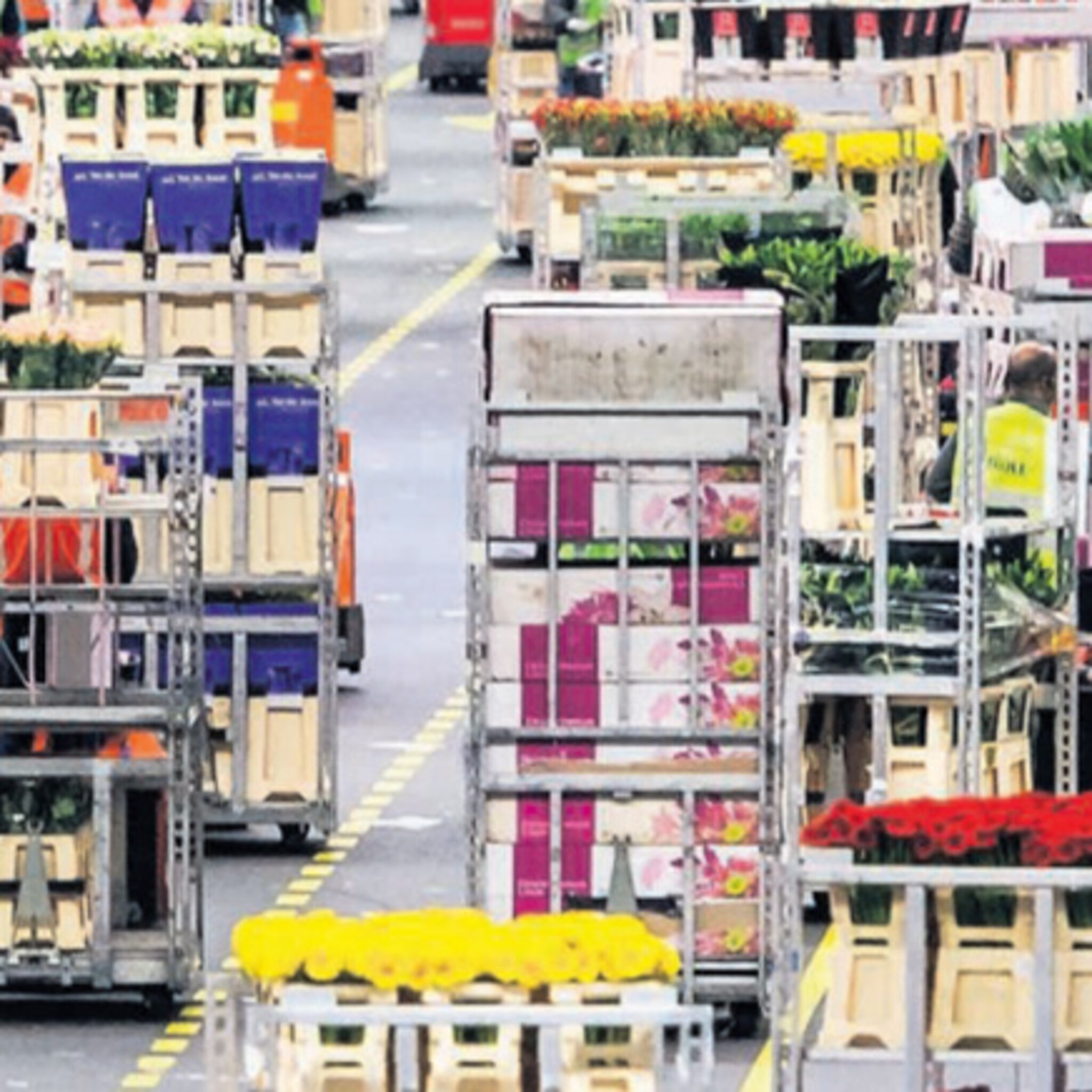 hogere omzet voor bloemenveiling floraholland