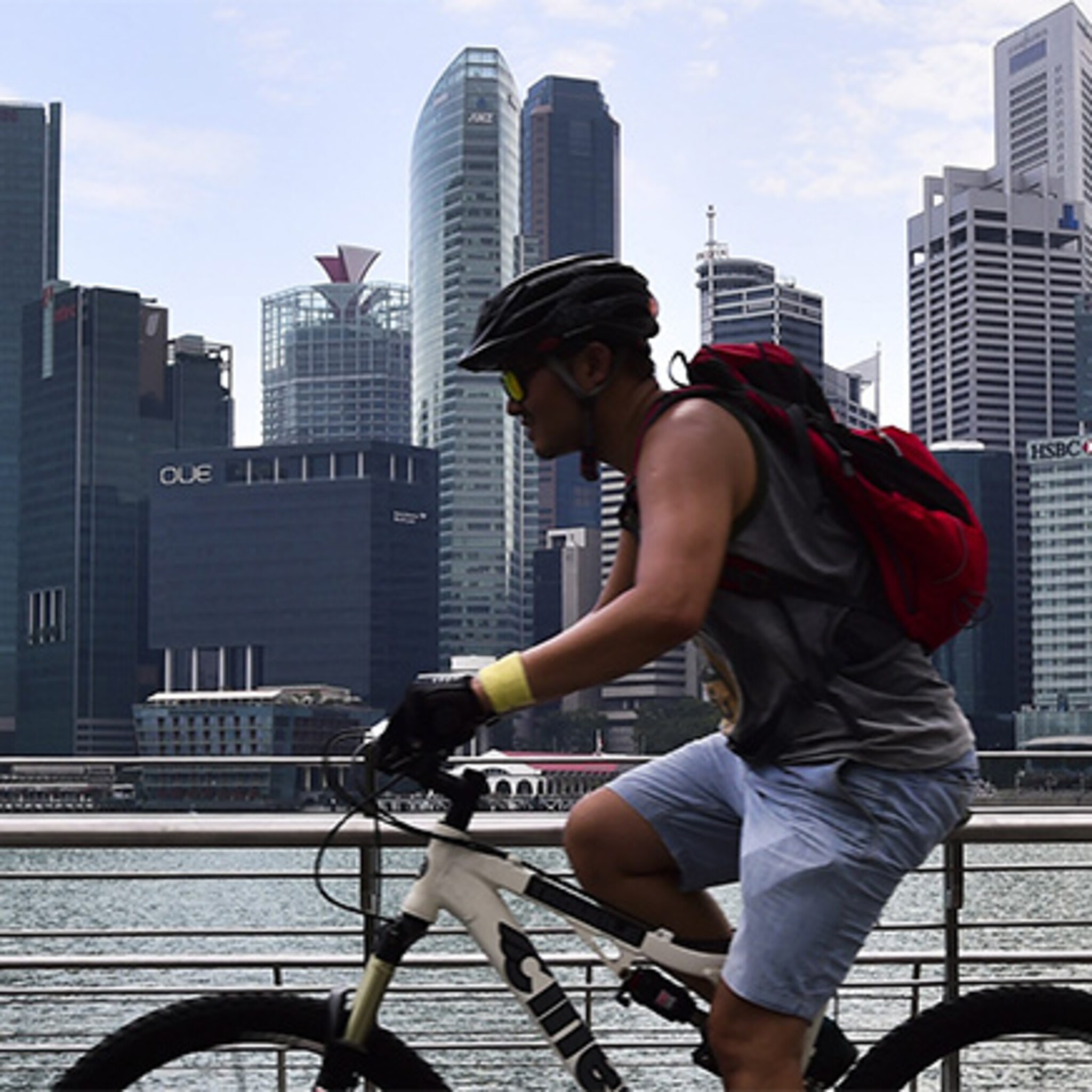 haskoningdhv ontwerpt nederlandse polder in singapore