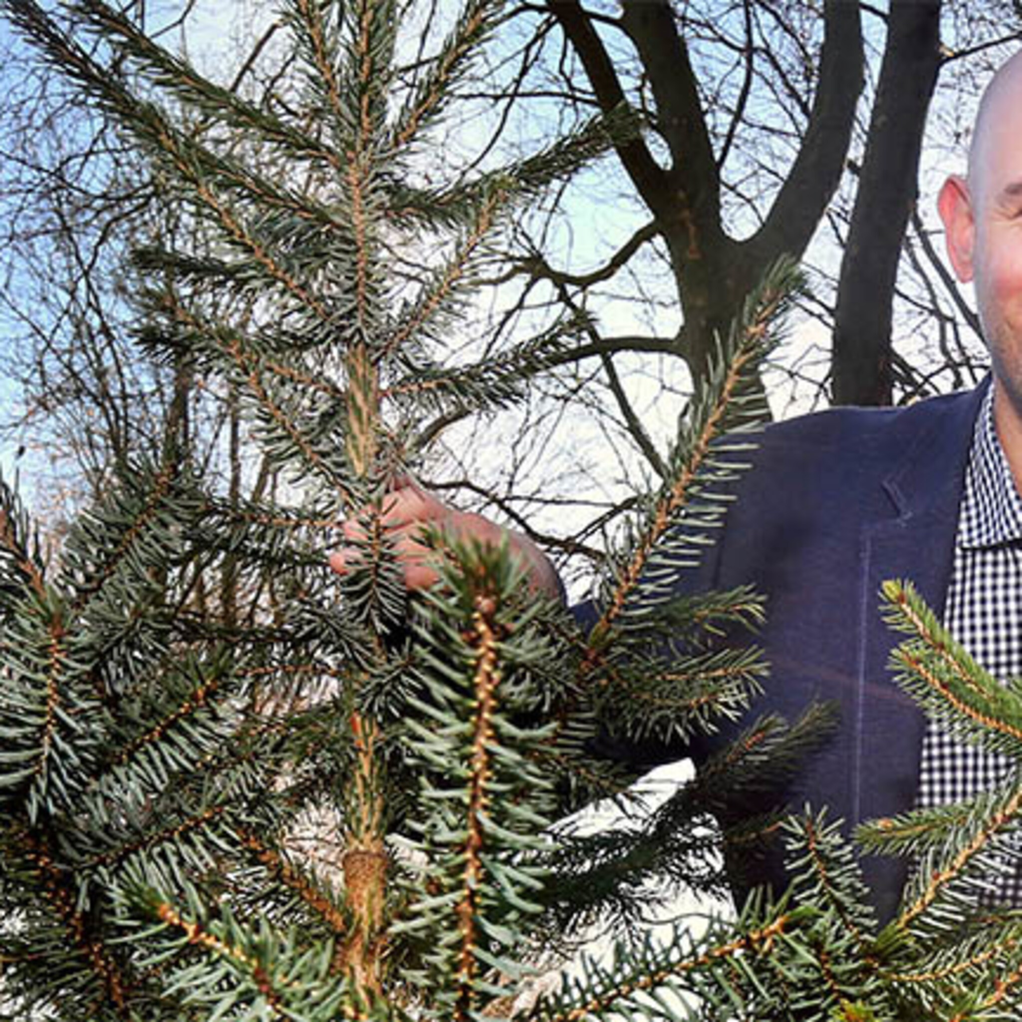 vraag naar bioboom ook dit jaar groot