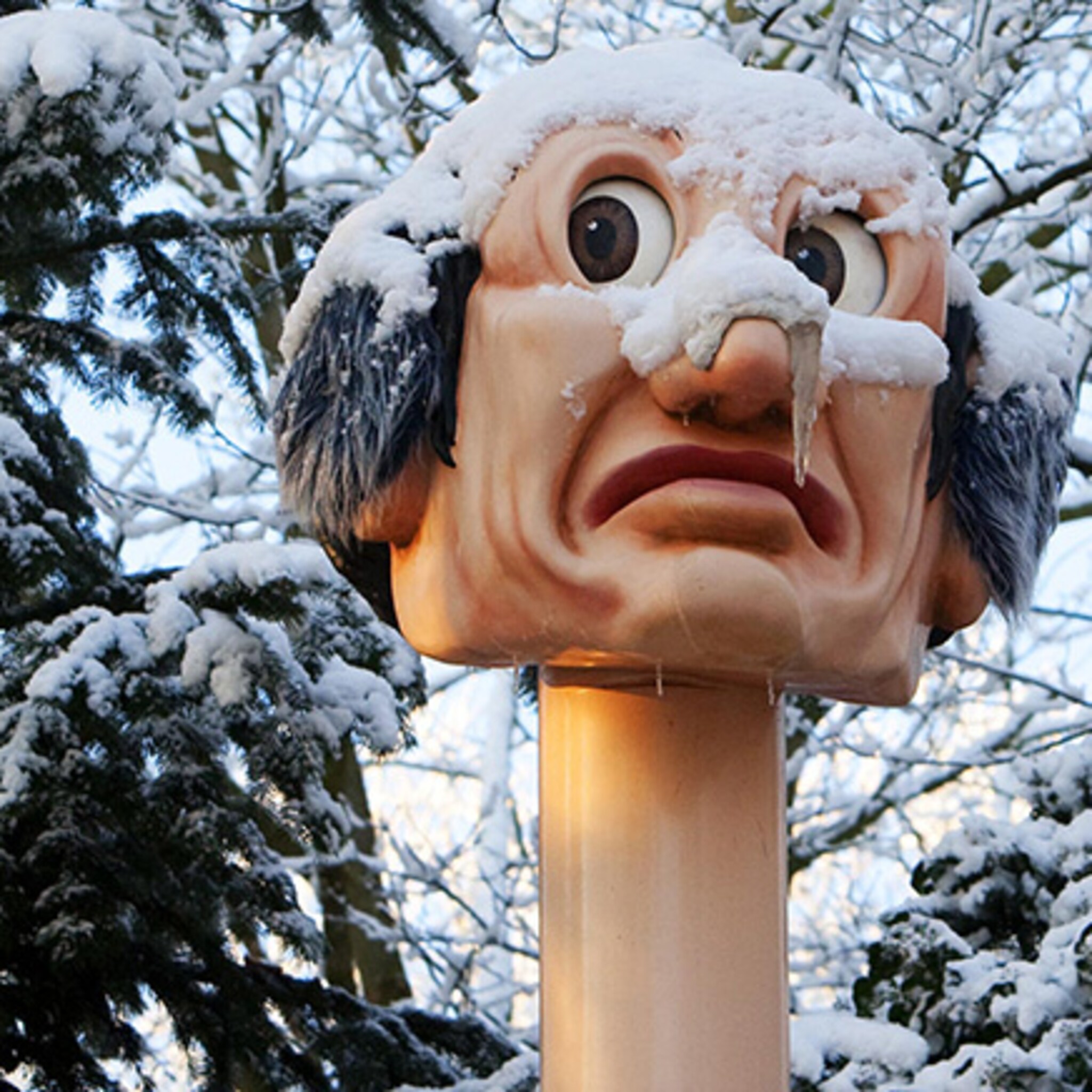 deze ondernemers maken van de efteling een winters sprookje