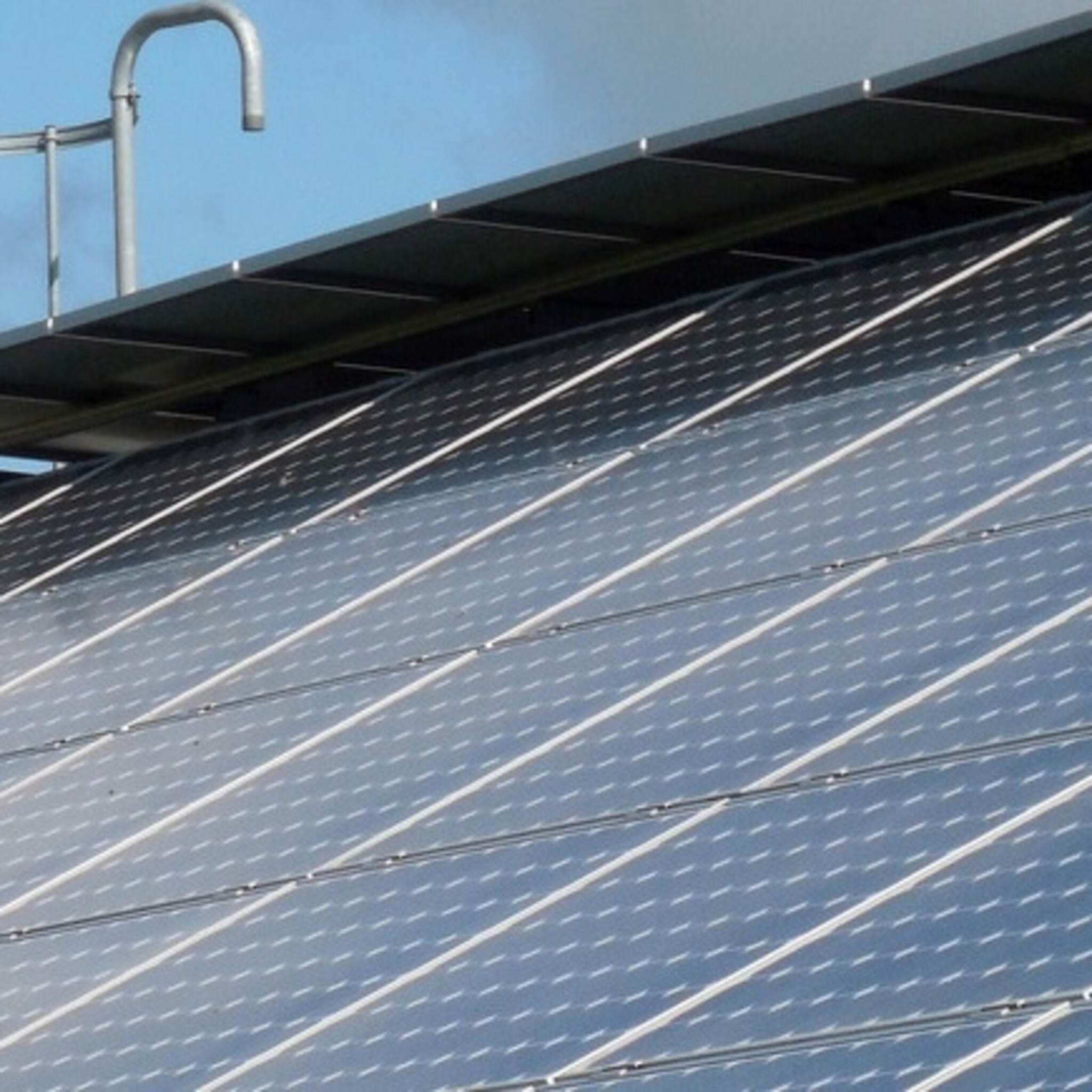 overdinkel in beeld voor zonne energiepark