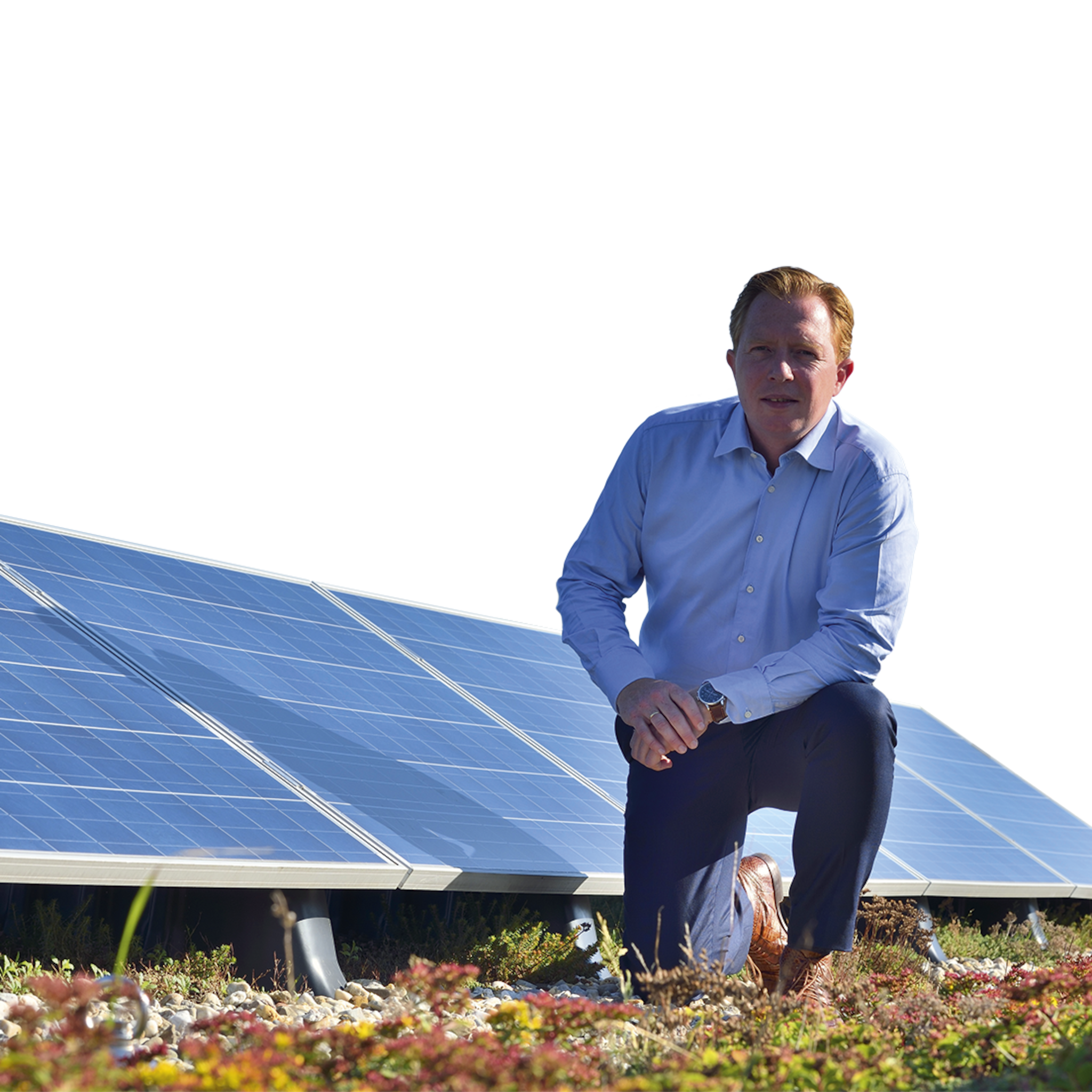 farwick groenspecialisten blijft doorgaan met innovatieve duurzame oplossingen