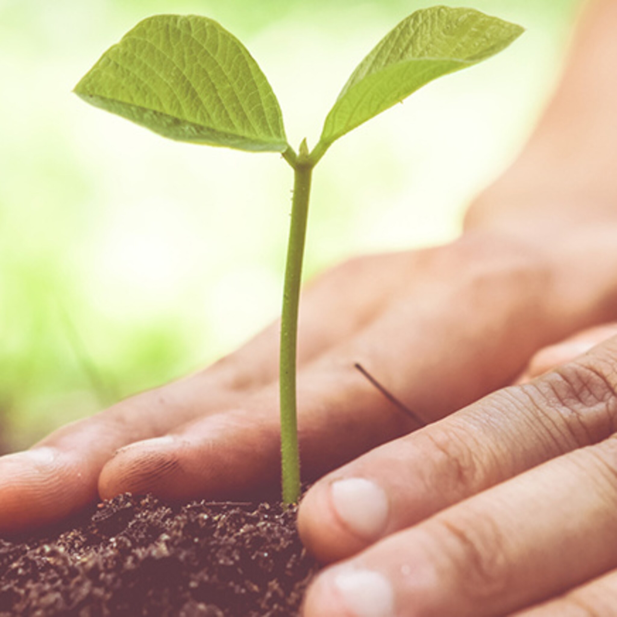 overijsselse natuurorganisaties zoeken bedrijf met grootste inzet voor biodiversiteit