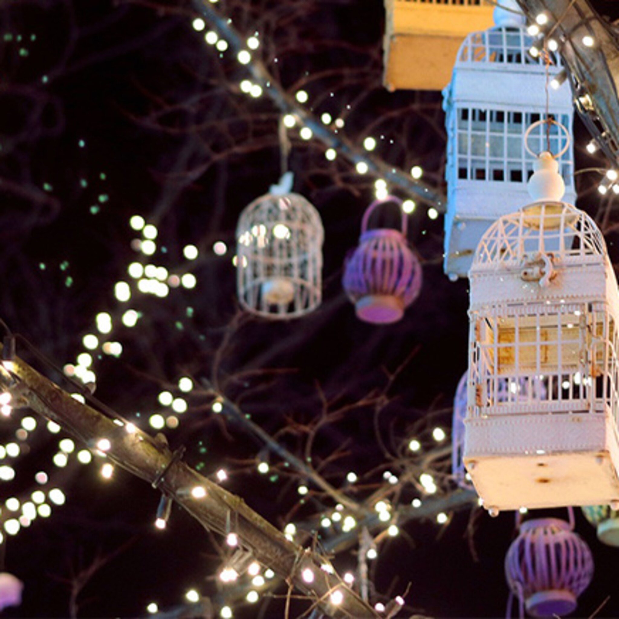 winkels mandjesstraat zwolle willen ook kerstverlichting