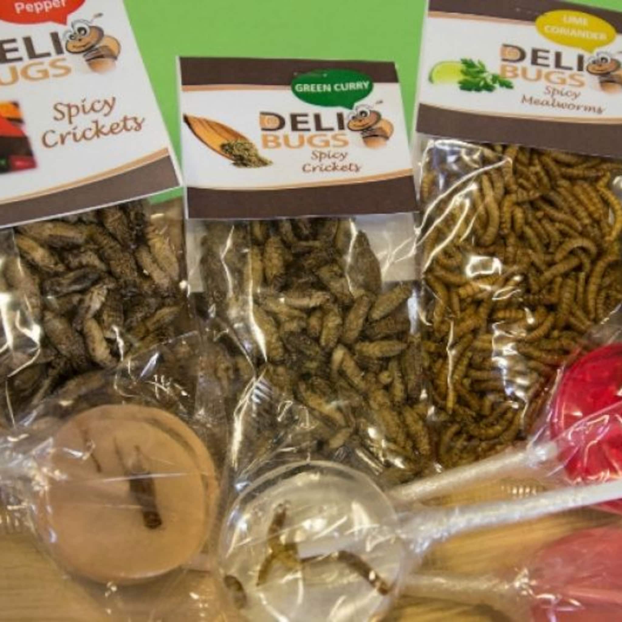 delibugs wil eetbare insecten aan de man brengen