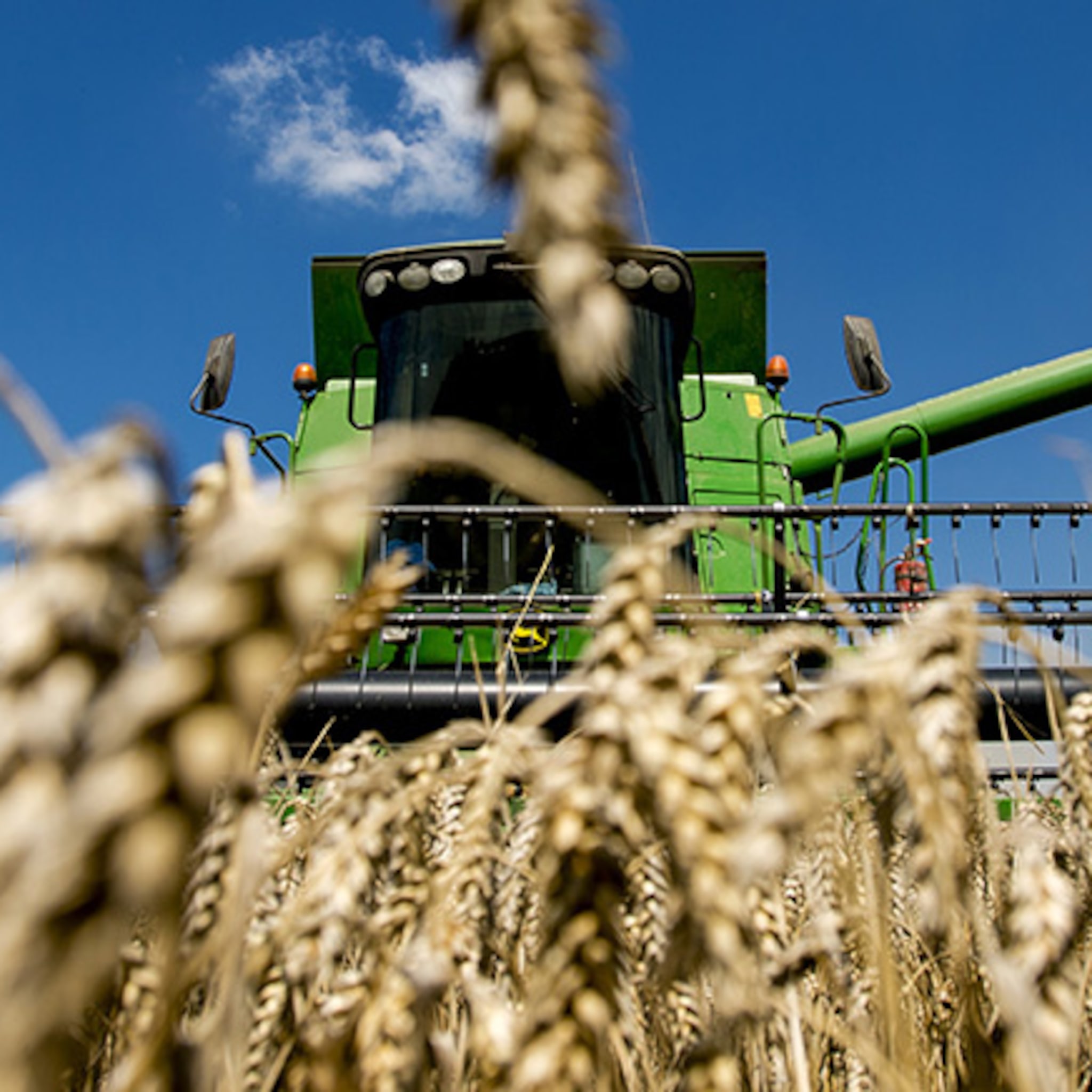 graanpletterij de halm wint bernhezer ondernemersprijs