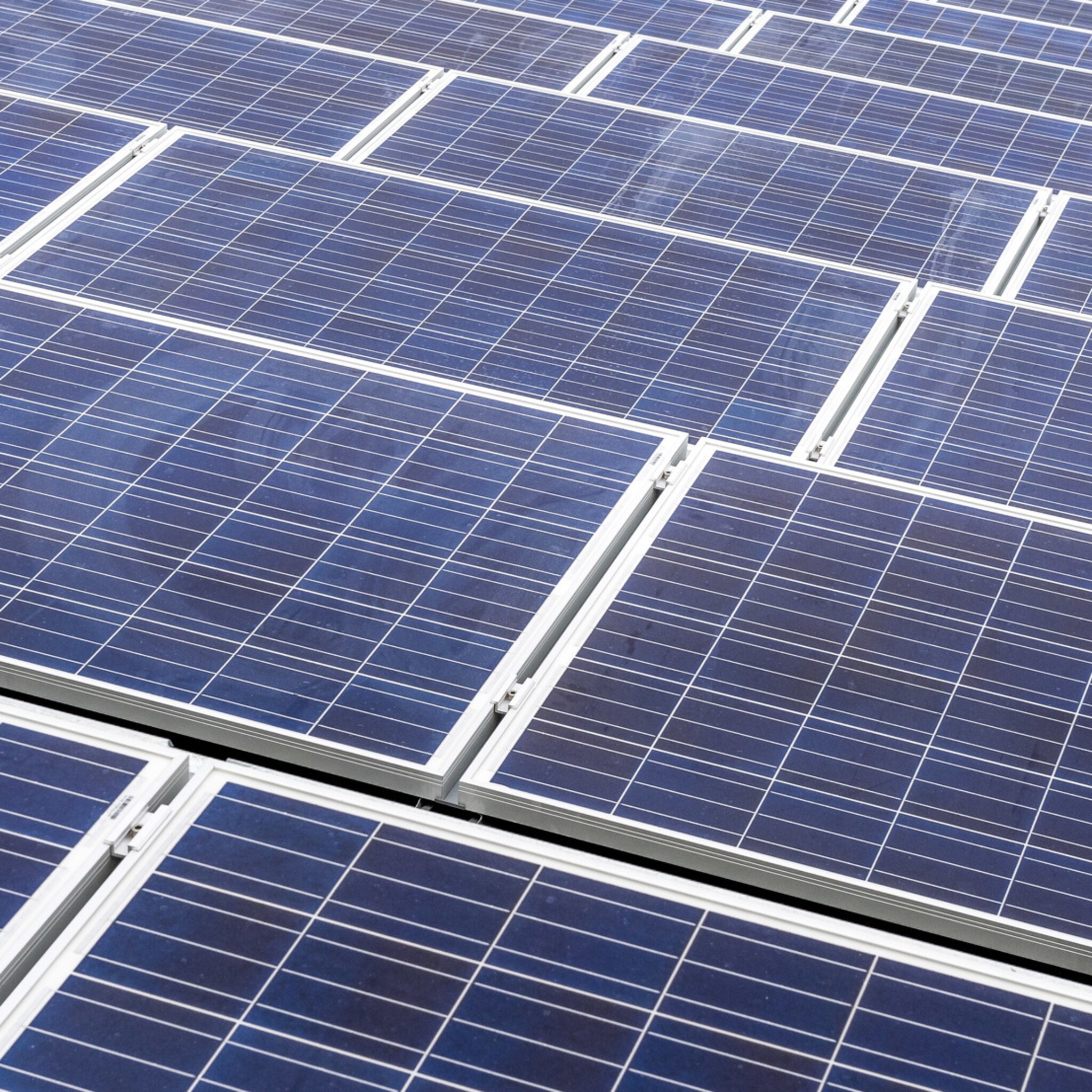 zeeuwind stimuleert ondernemers meer te doen met zonne energie