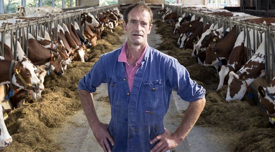 beeld deondernemer