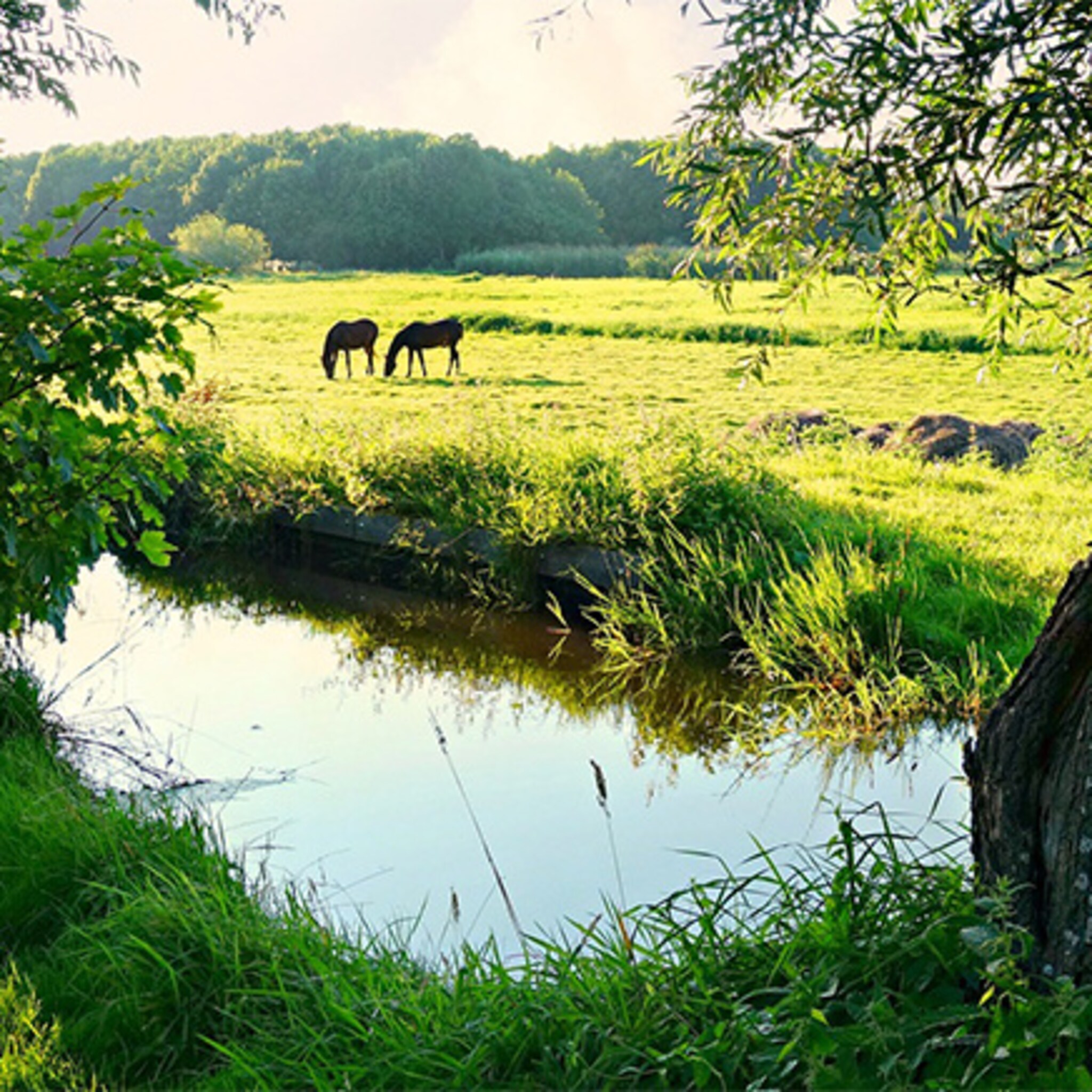 succesvolle facebookactie zet b en b op de kaart