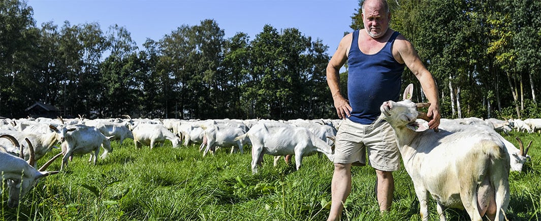 beeld deondernemer